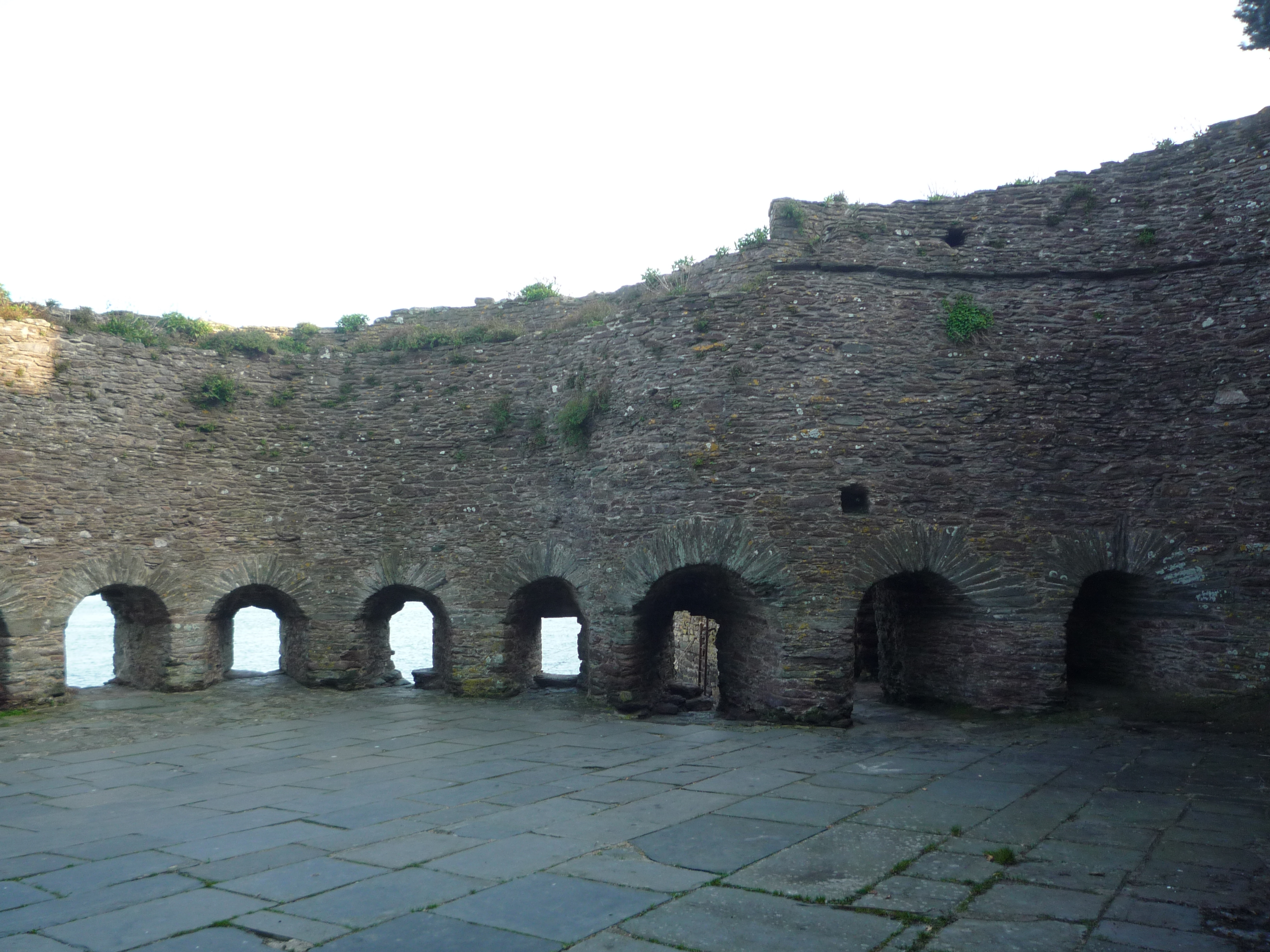 An image of Bayard