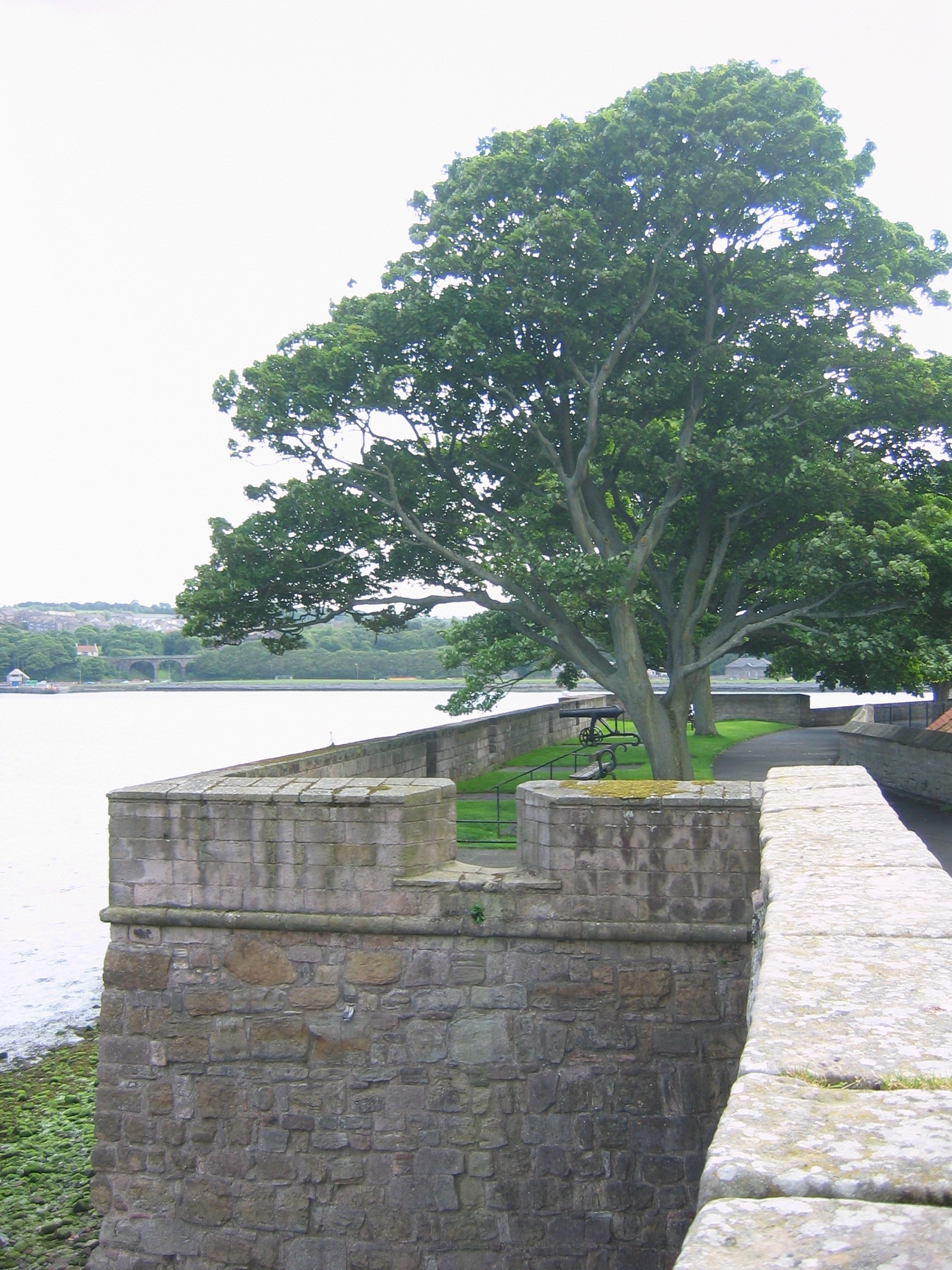 An image of Berwick-upon-Tweed Bastion