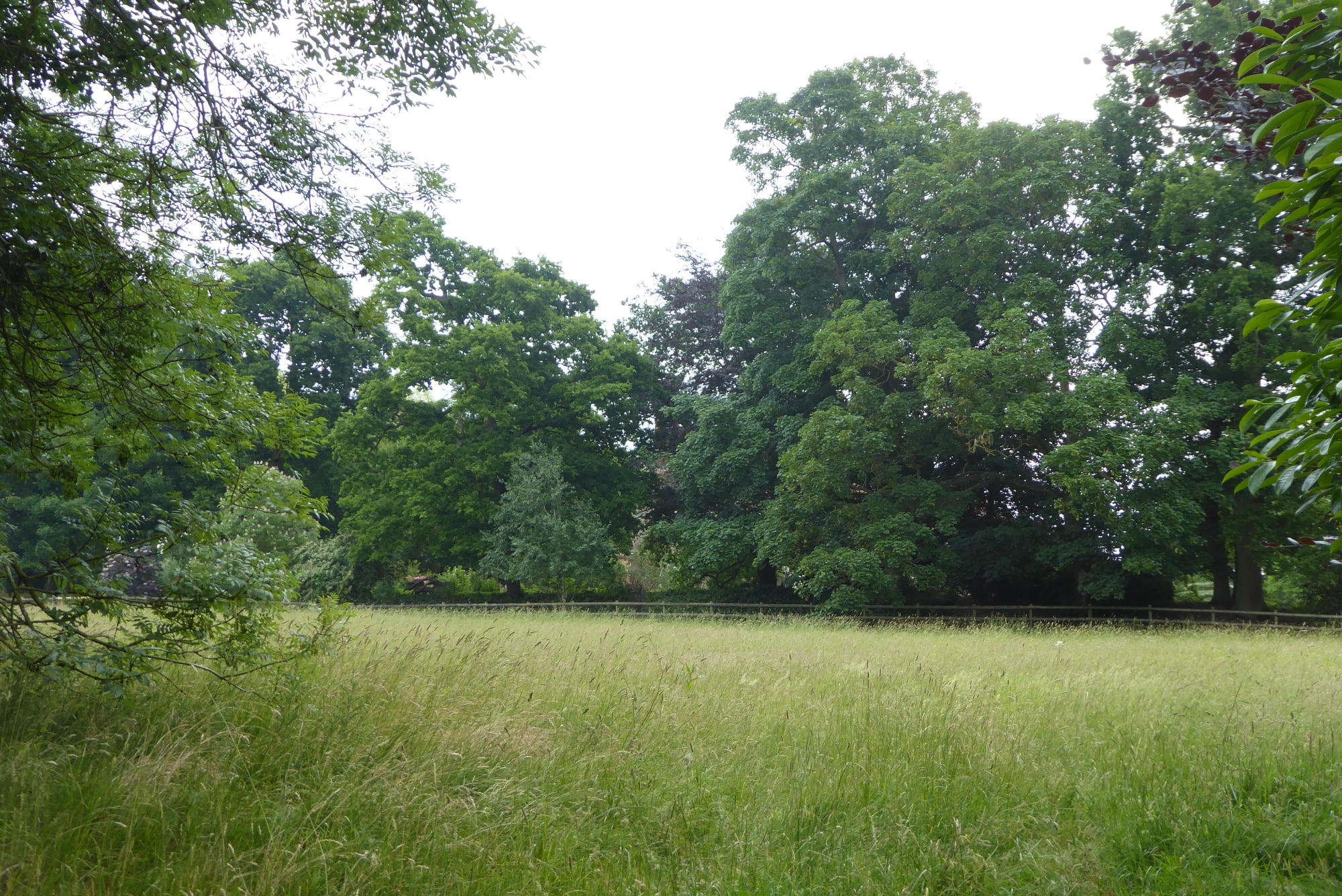 An image of Bletsoe Castle