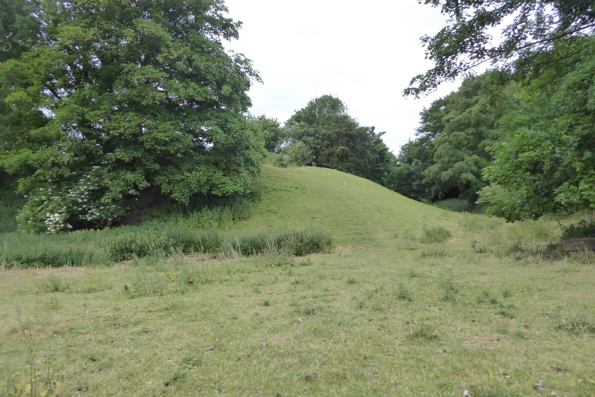 An image of Bolbec Castle