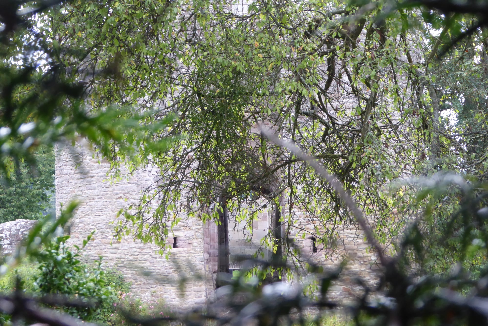 An image of Brampton Bryan Castle