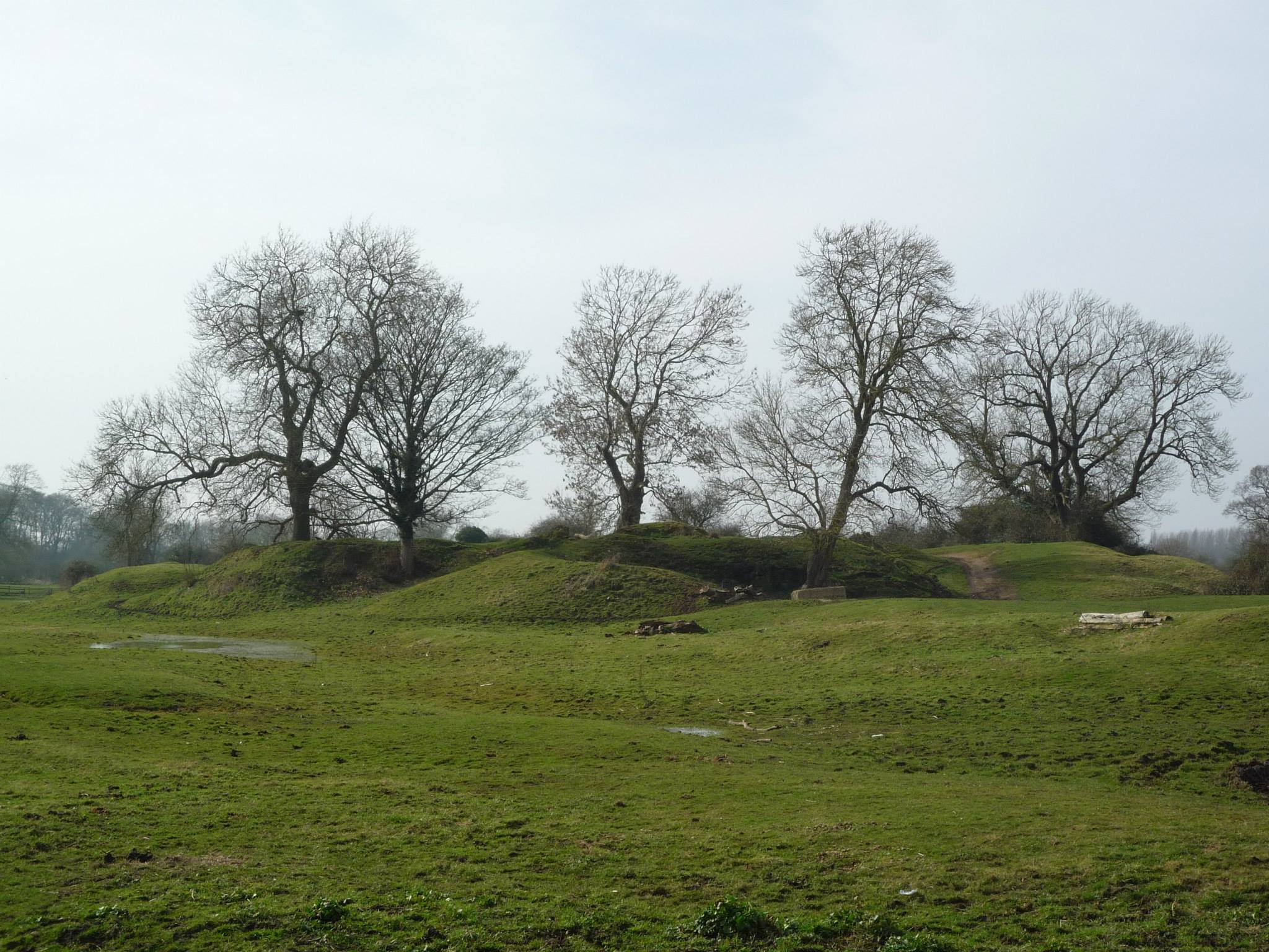 An image of Brandon Castle