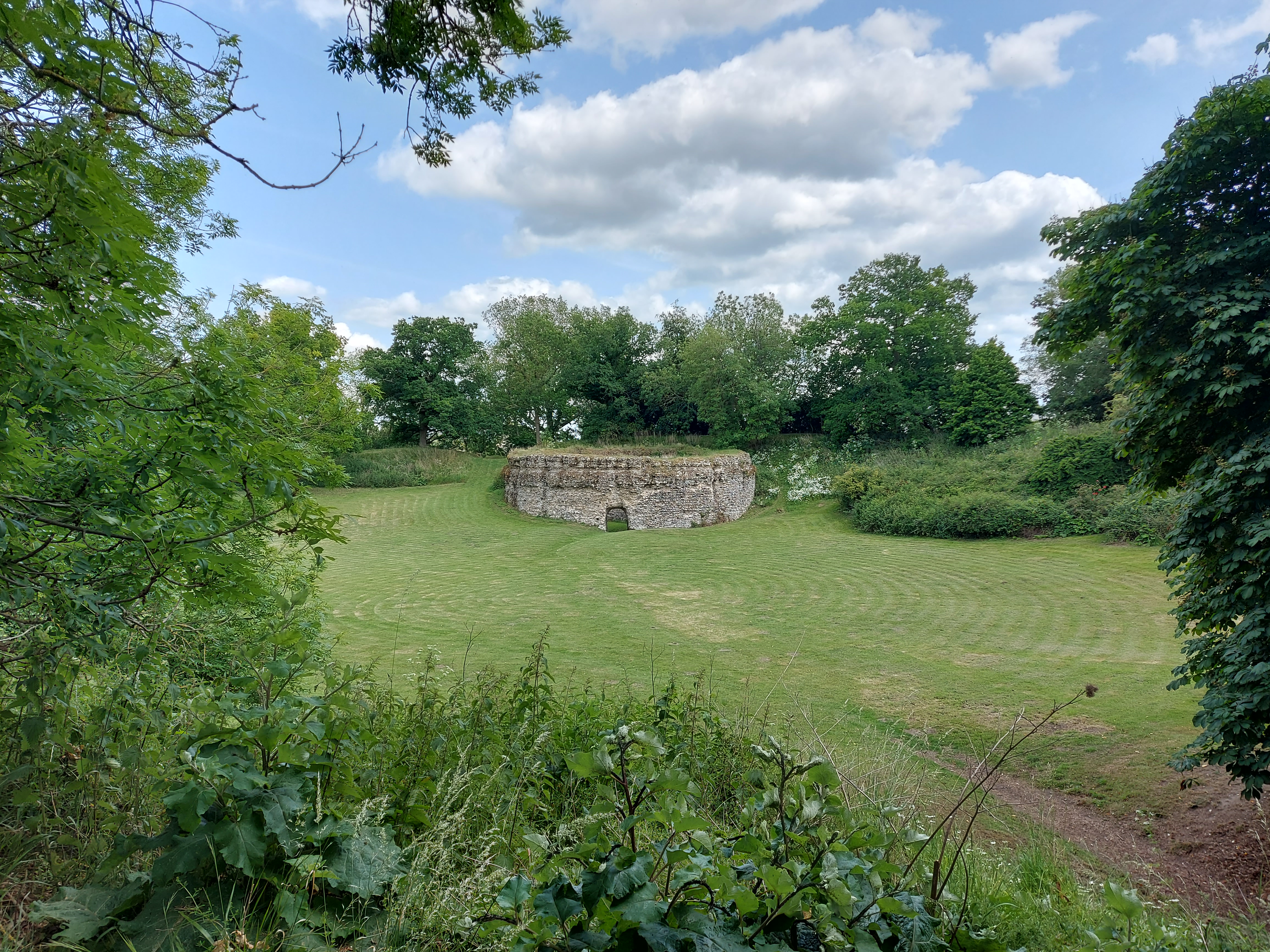 An image of Buckenham Castle