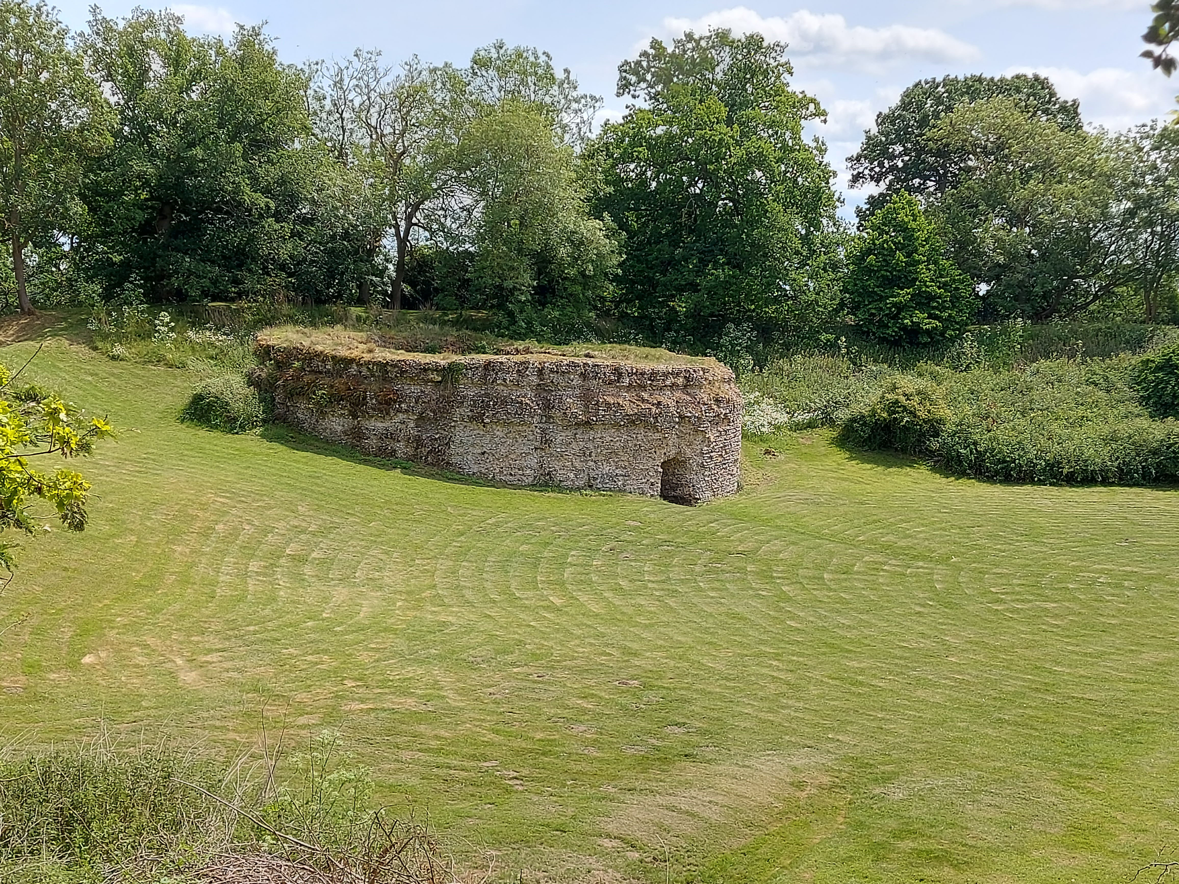 An image of Buckenham Castle