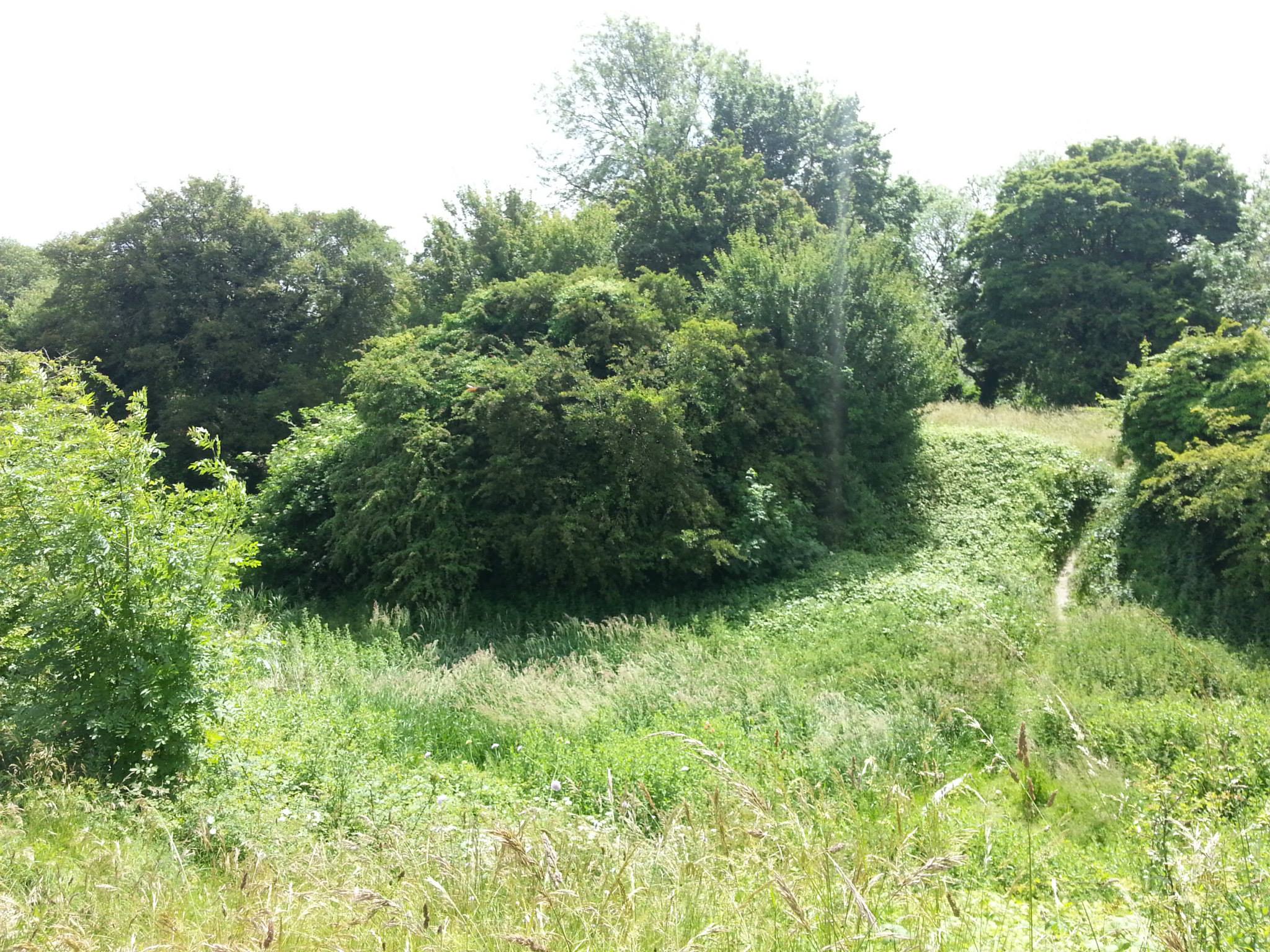 An image of Burwell Castle