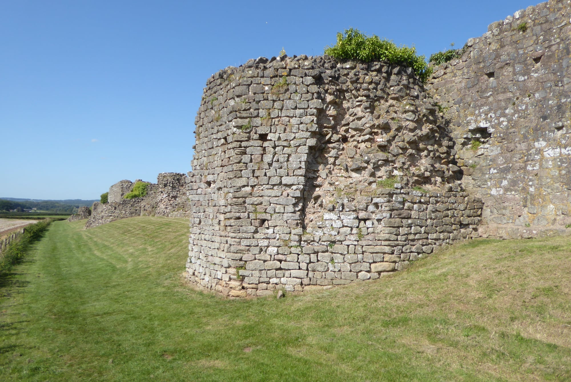 An image of Caer Went