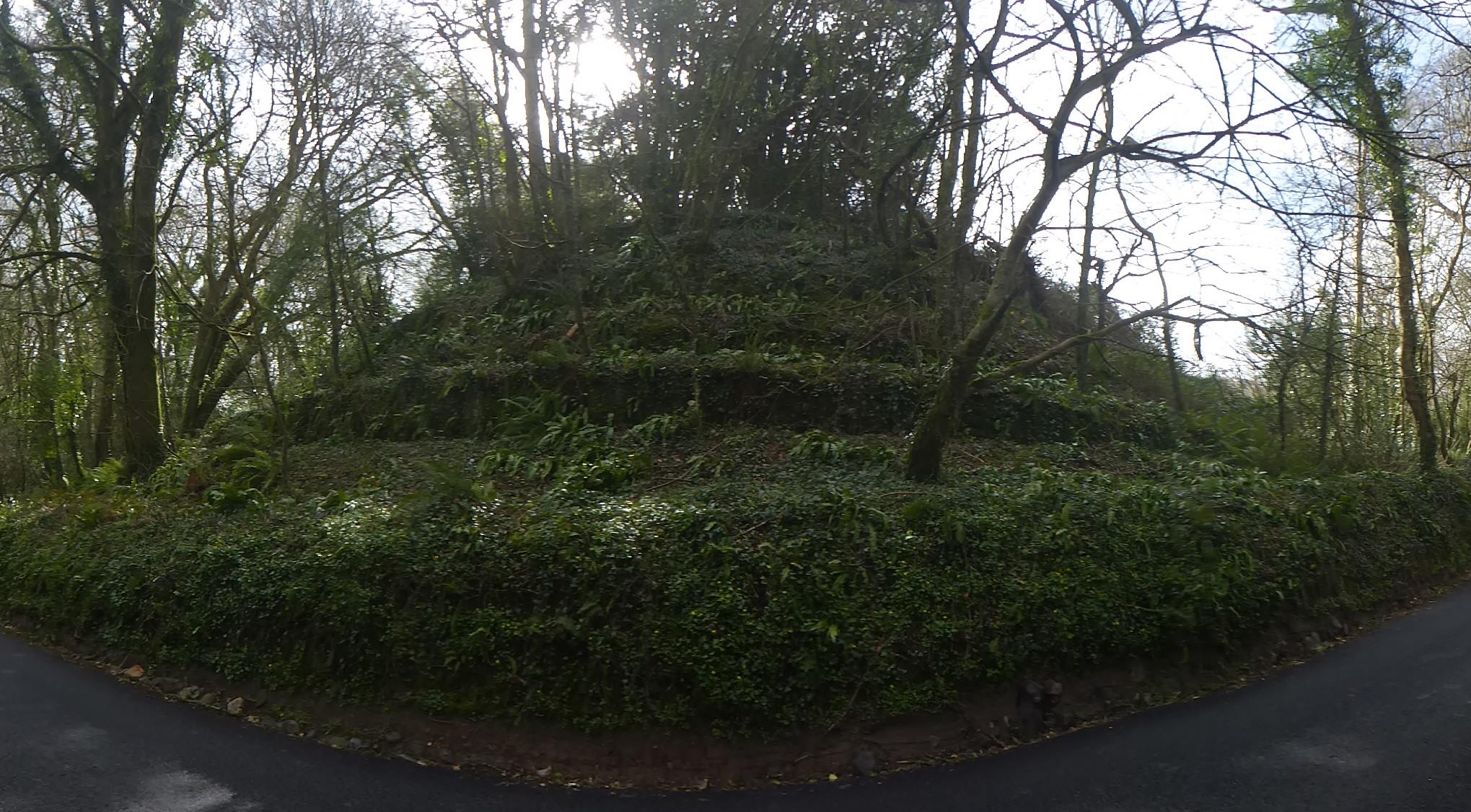 An image of Camrose Castle