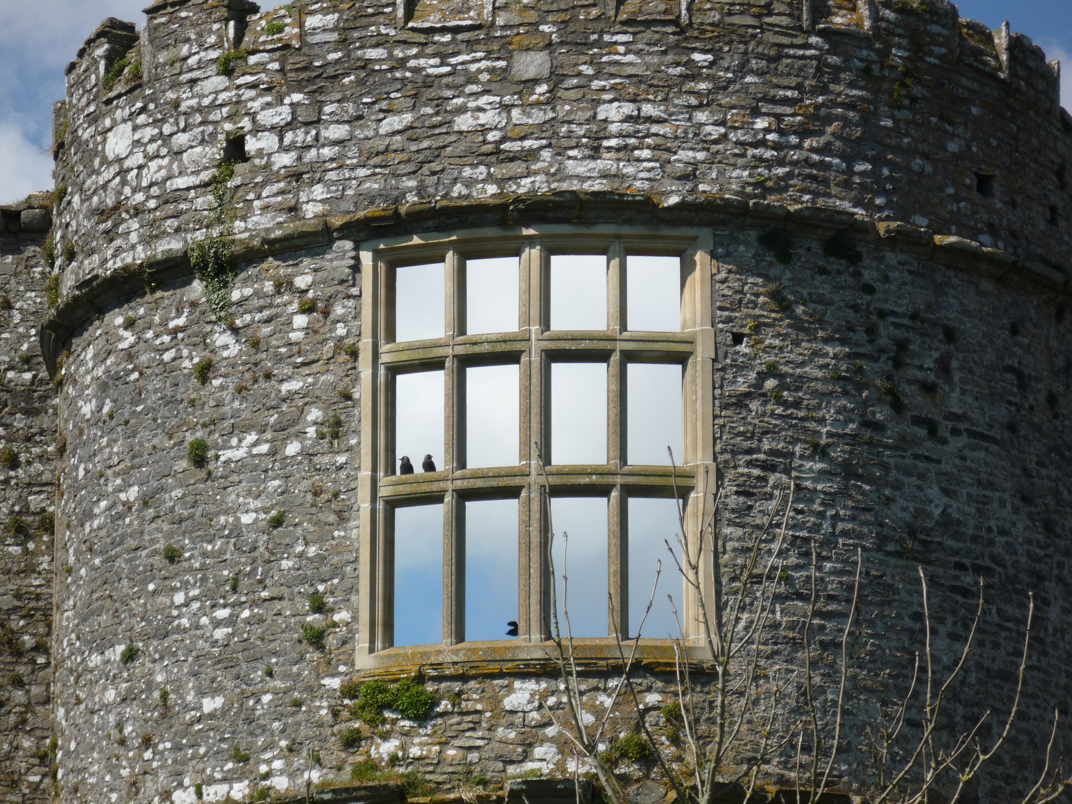 An image of Carew Castle