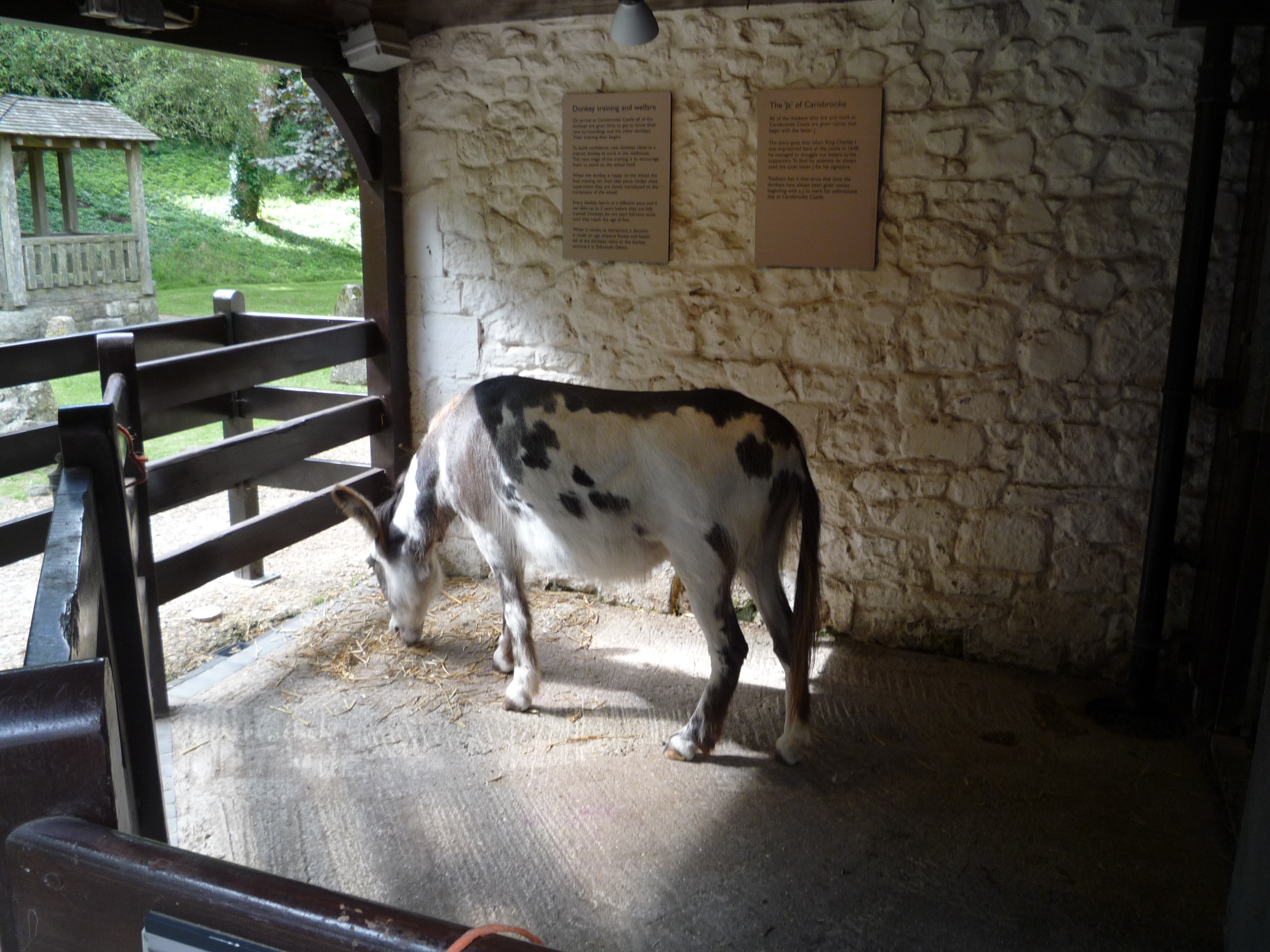 An image of Carisbrooke Castle
