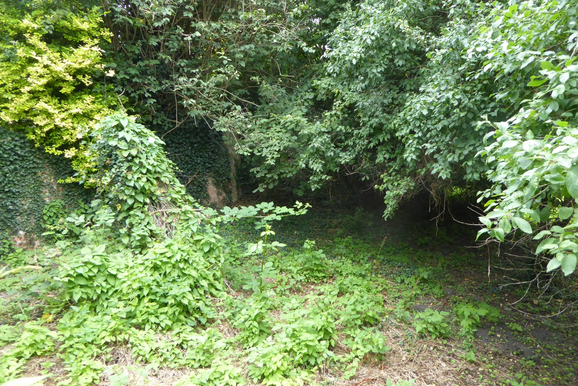 An image of Castle Donington