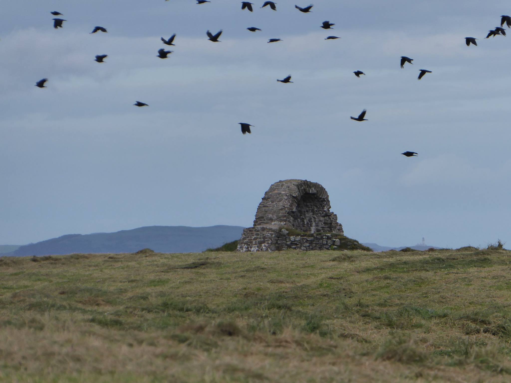 An image of Cruggleton Castle