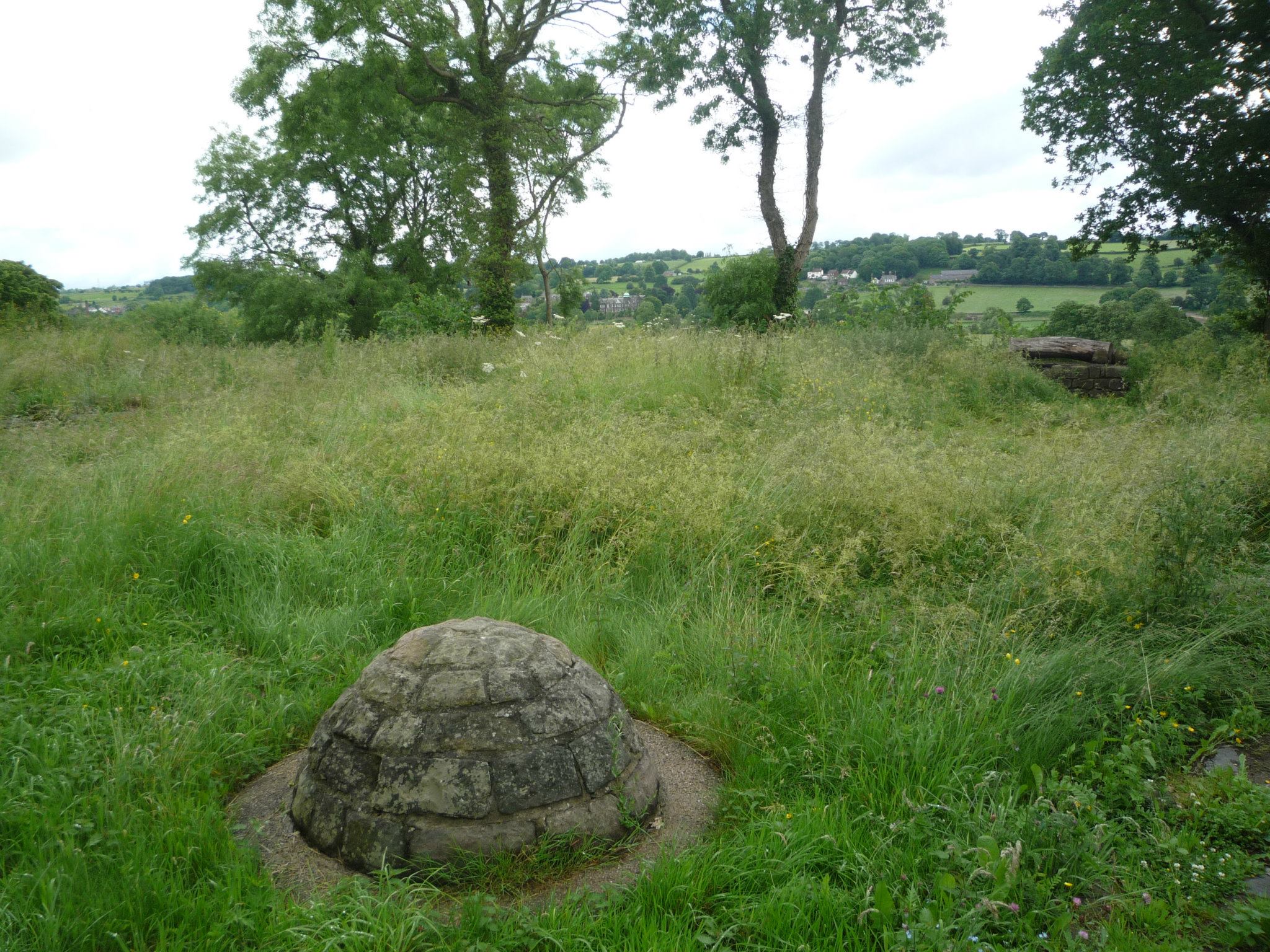 An image of Duffield Castle