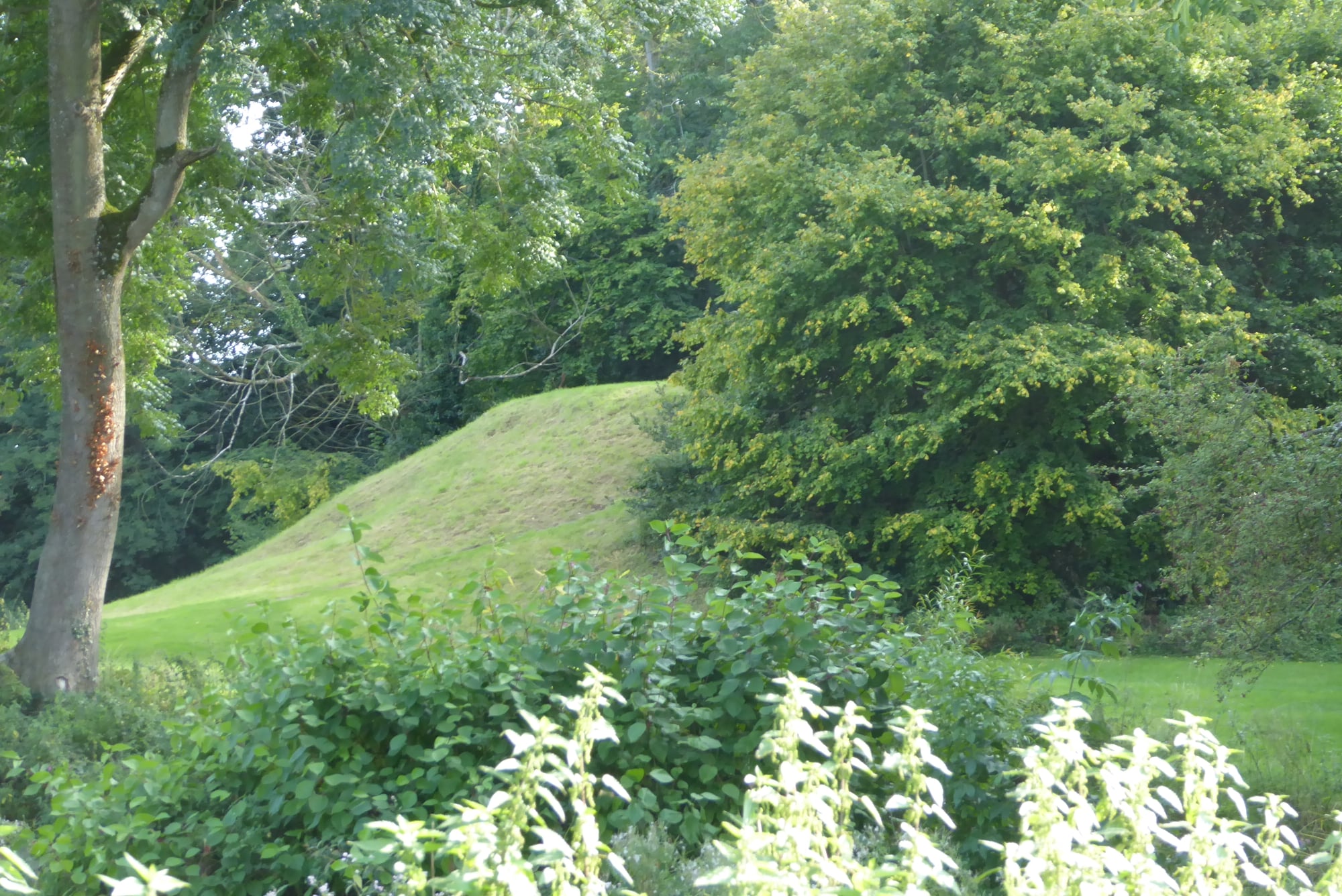 An image of Eardisley Castle