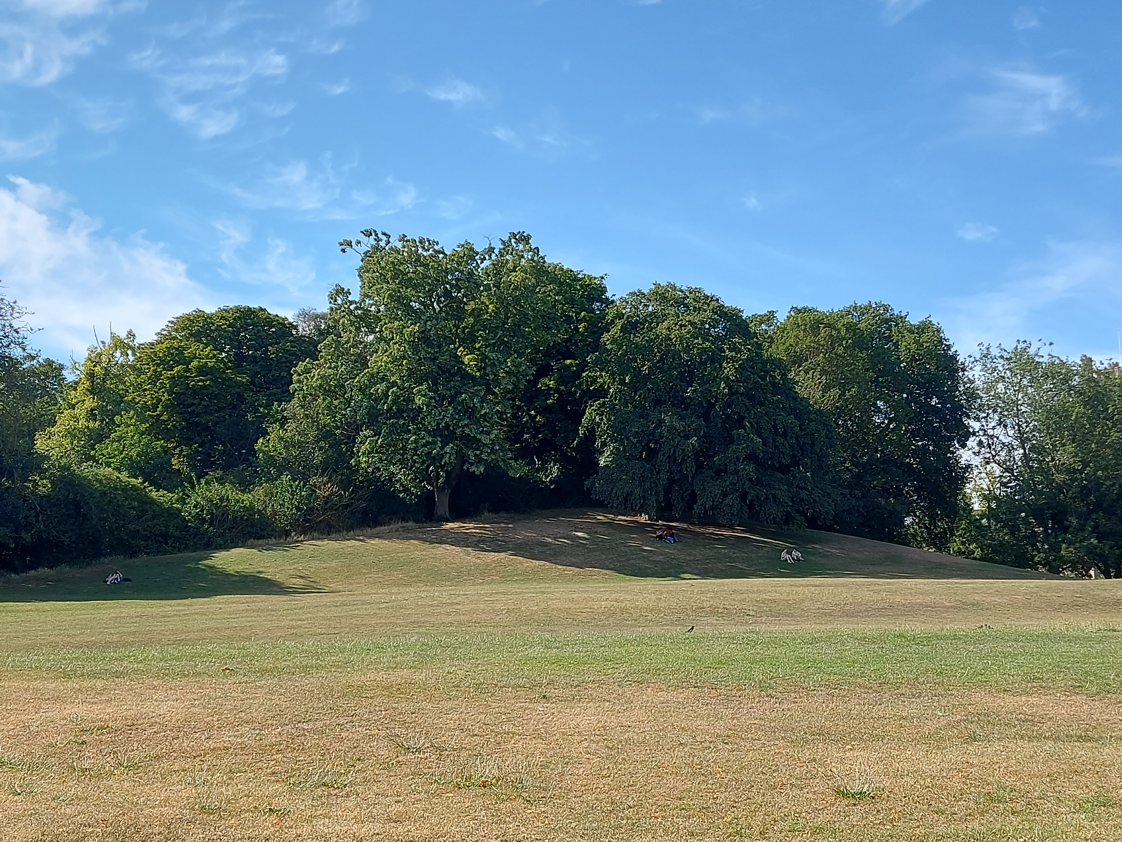 An image of Ely Castle