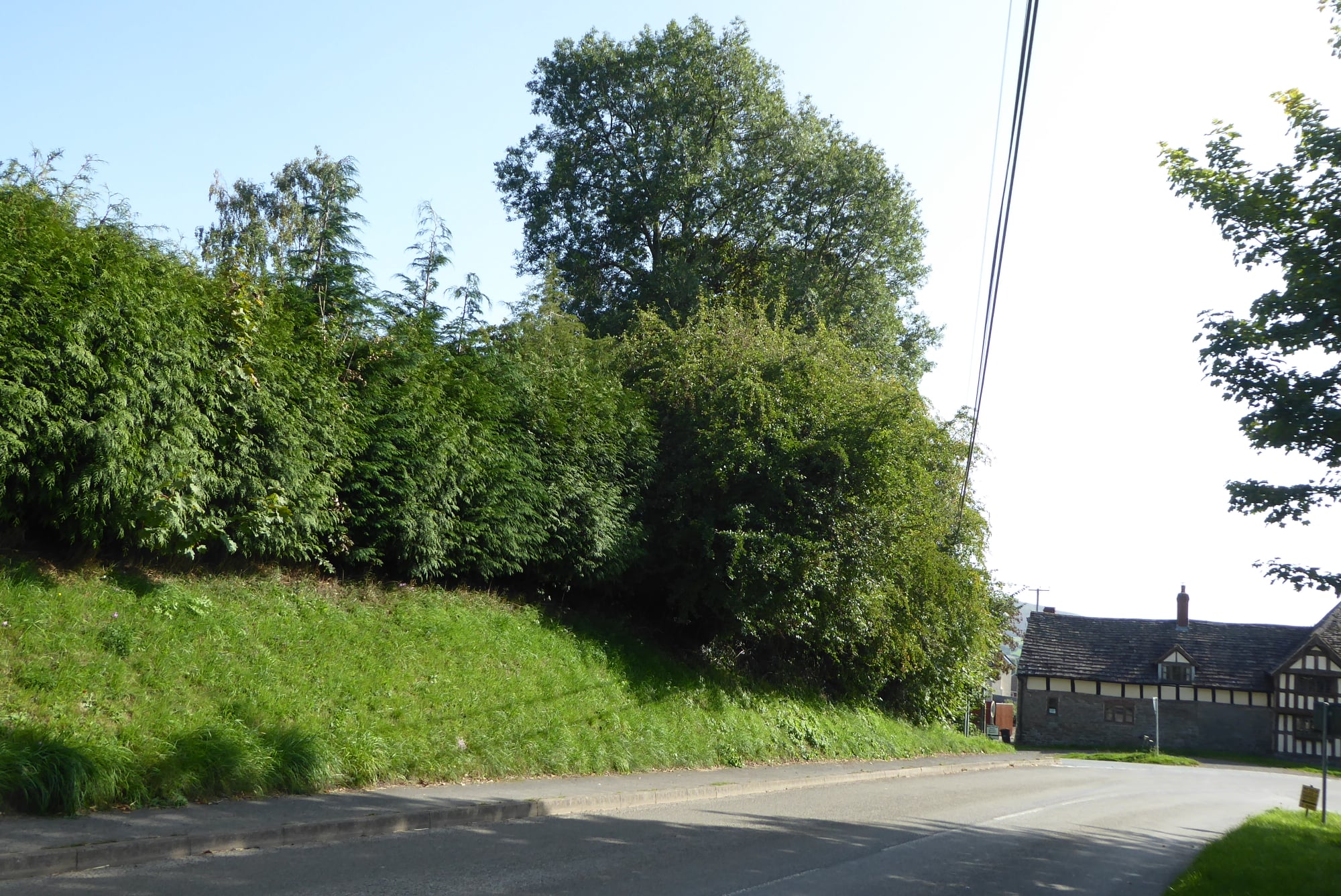 An image of Evenjobb Central Motte