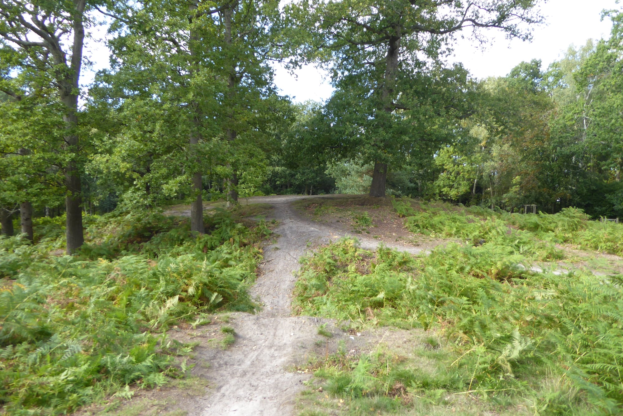 An image of Finchampstead Mound