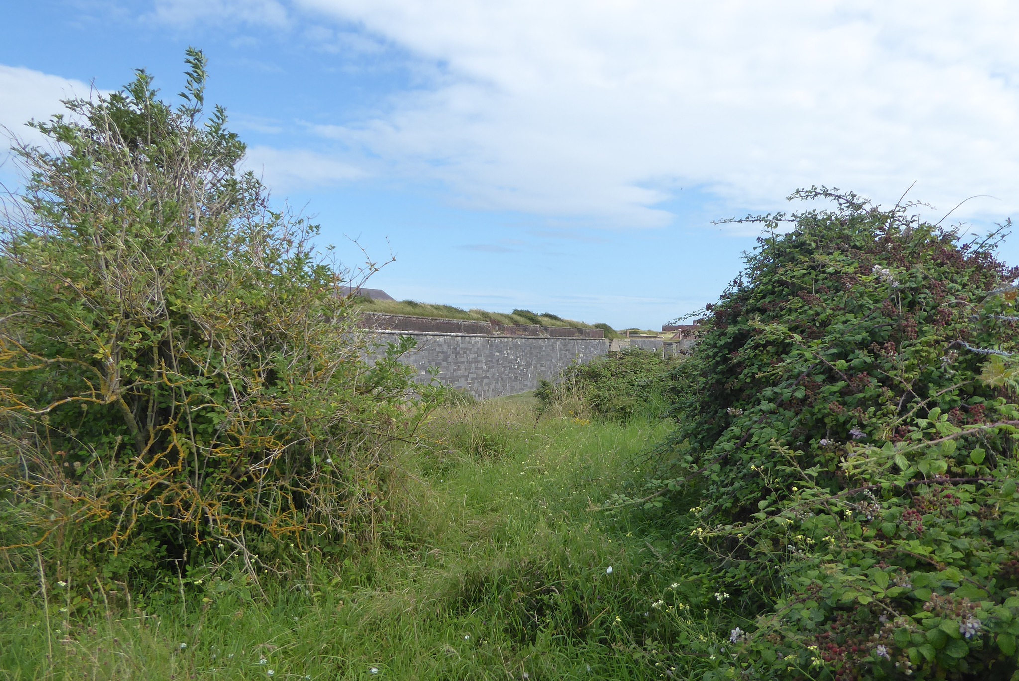 An image of Fort Cumberland