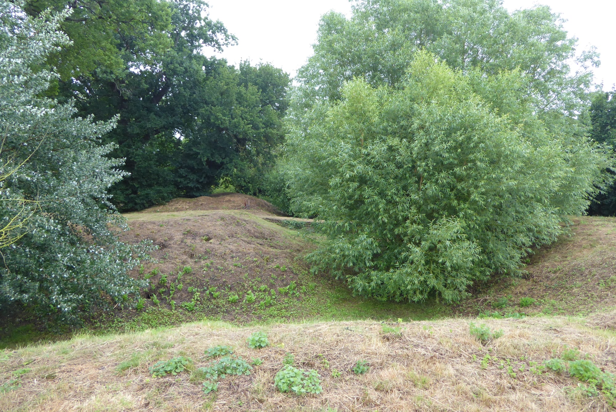 An image of Gannocks Castle