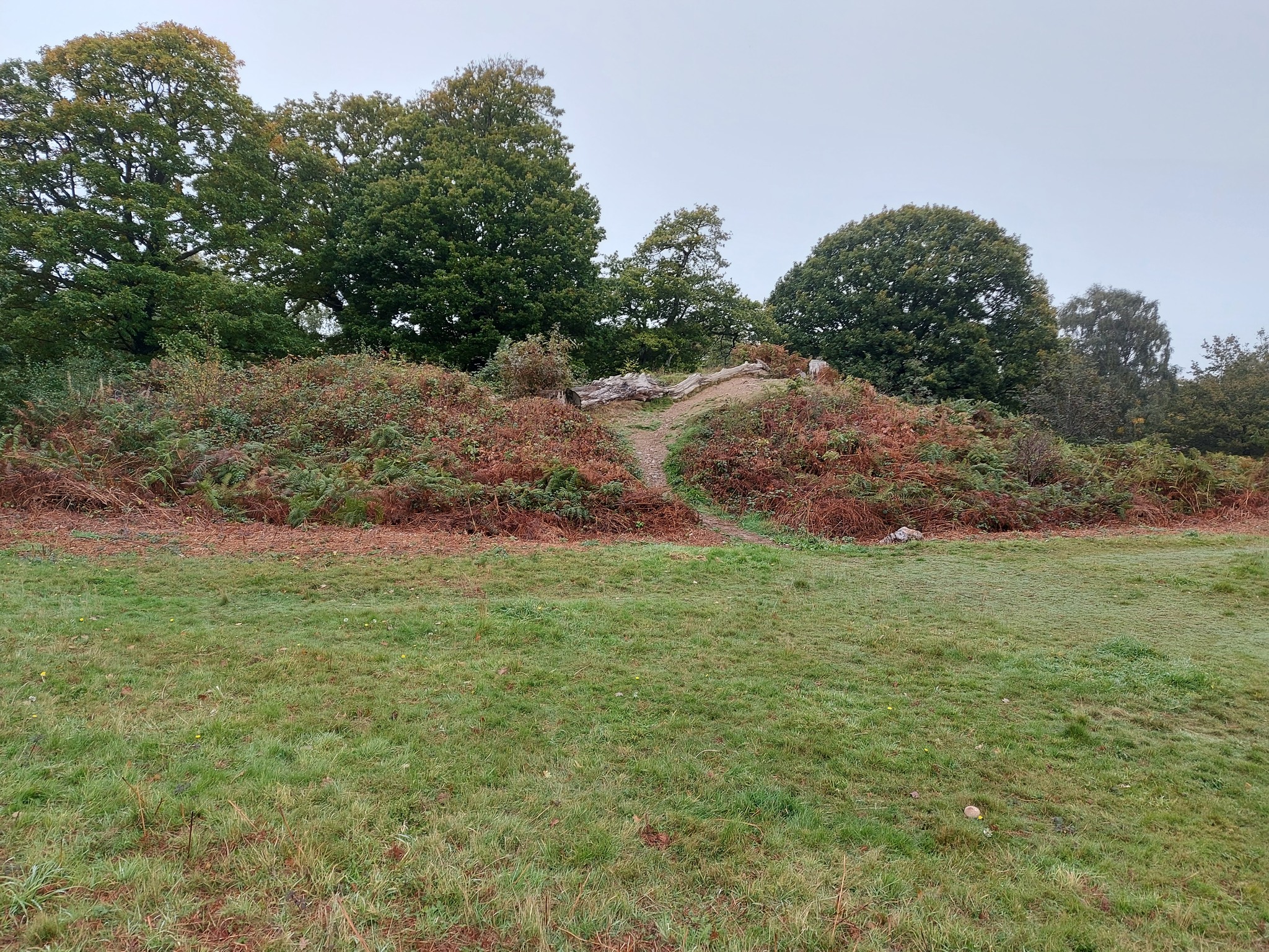 An image of Hembury Castle