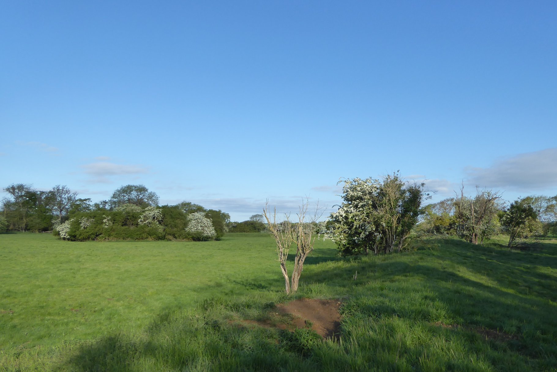 An image of Higham Gobion Castle