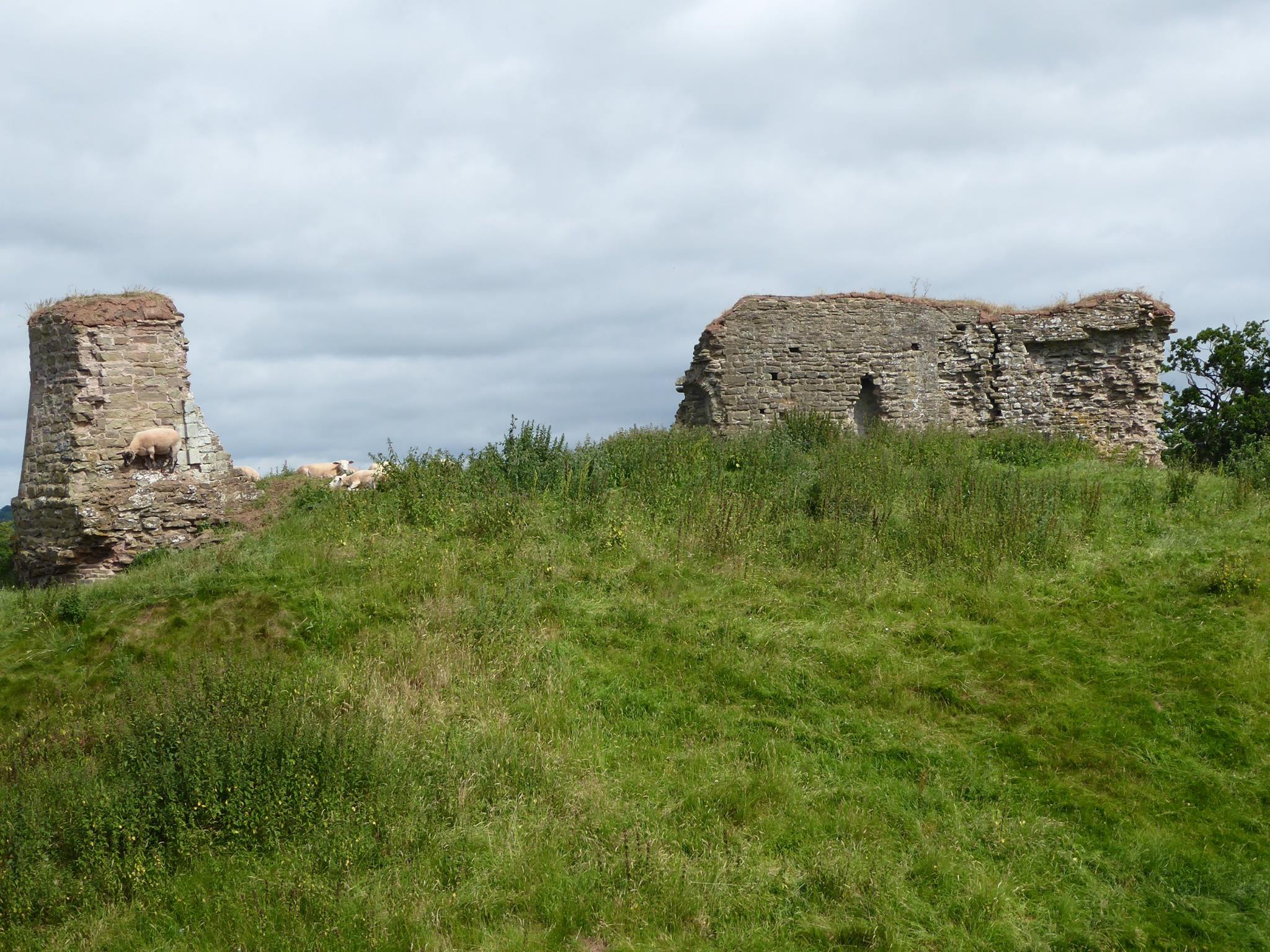 An image of Kilpeck Castle