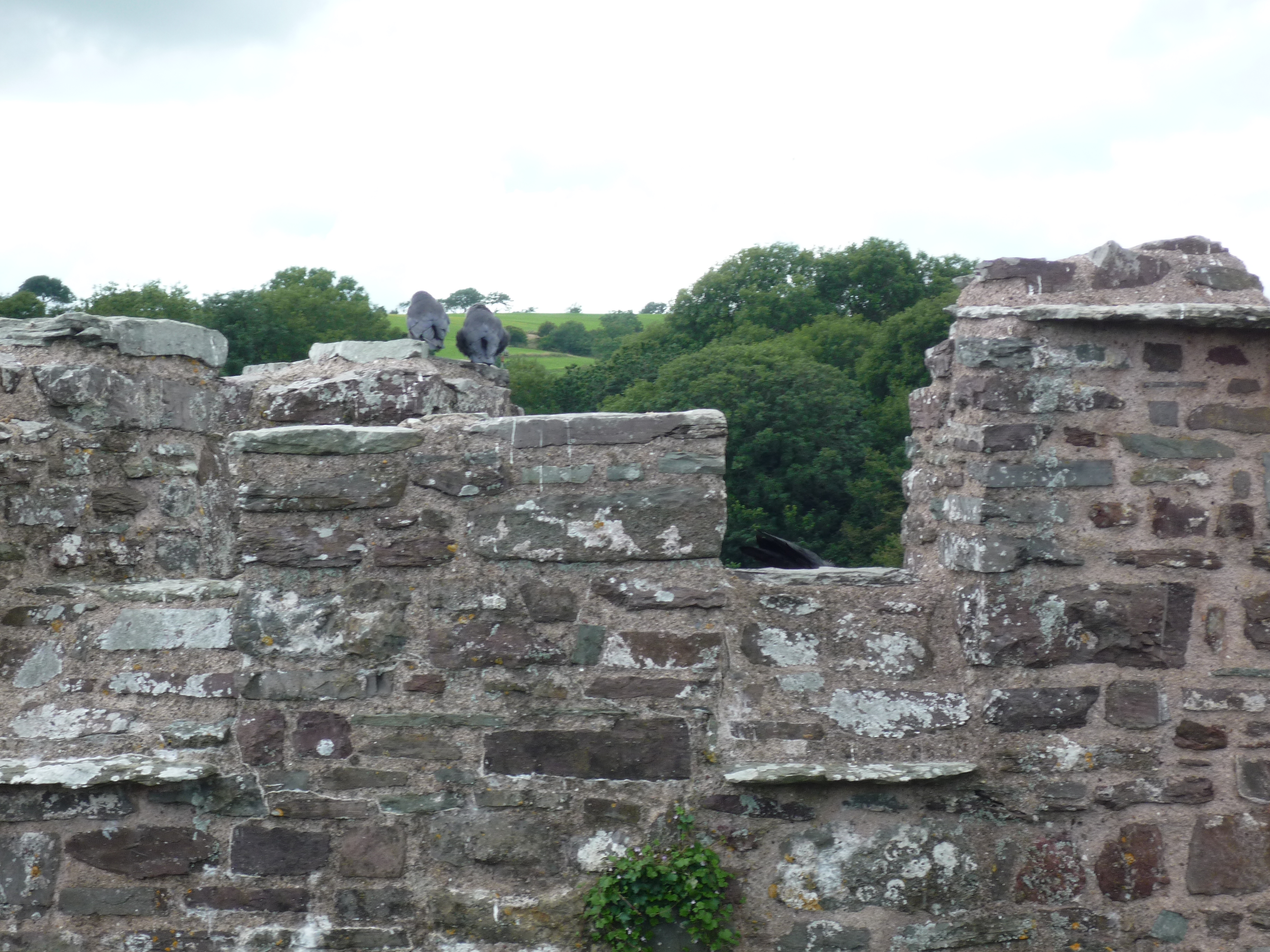 An image of Laugharne Castle