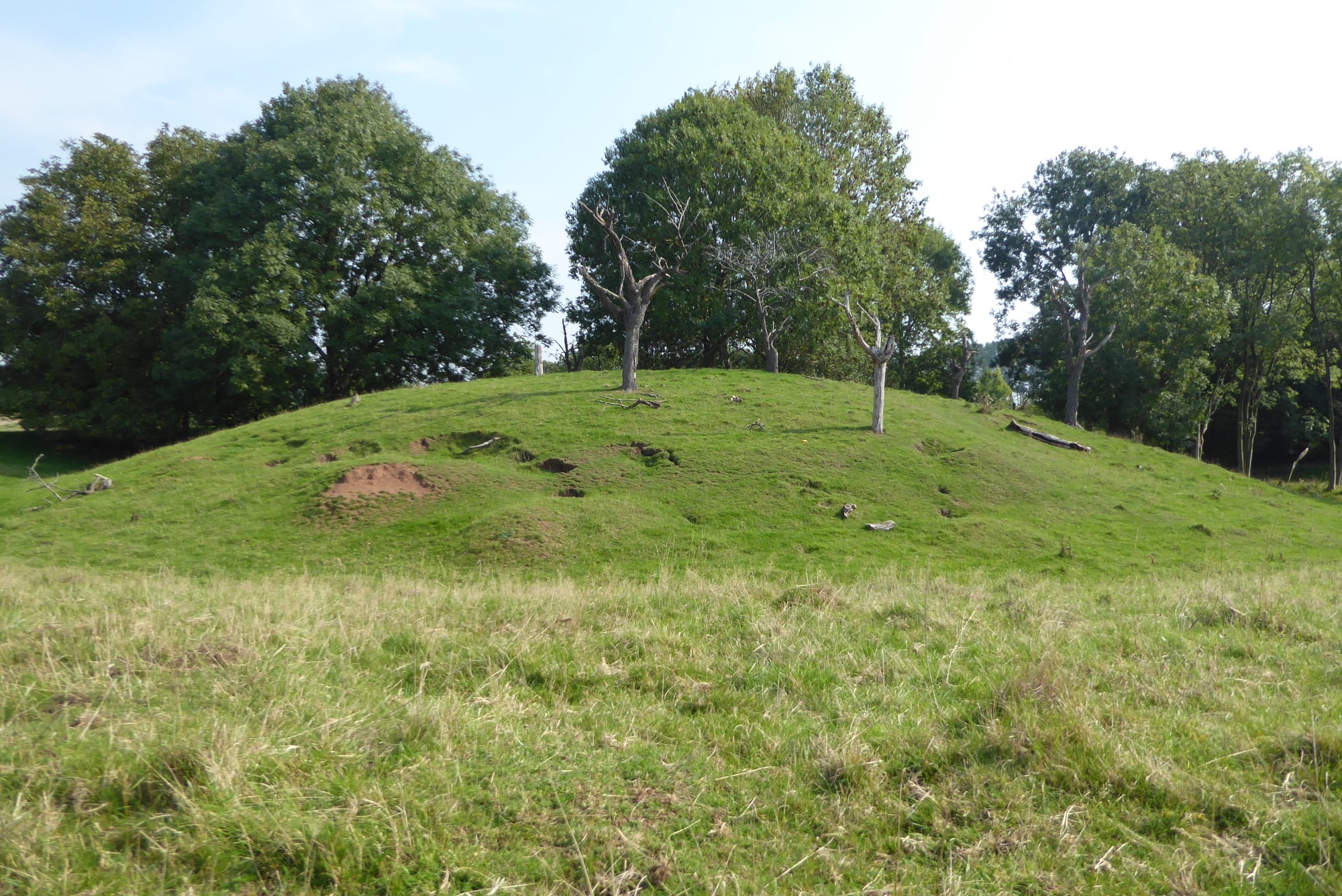 An image of Leigh Castle