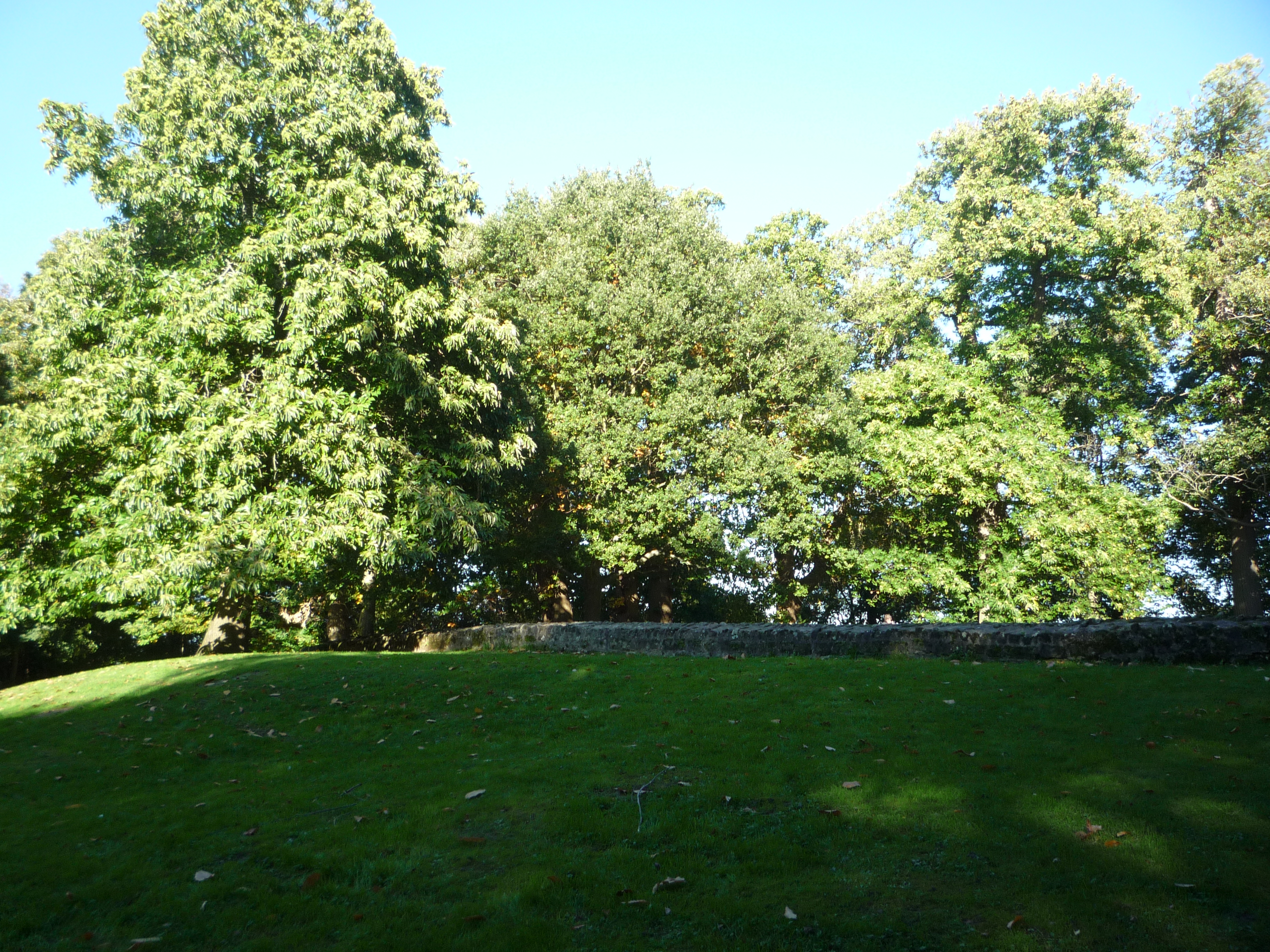 An image of Midhurst Castle