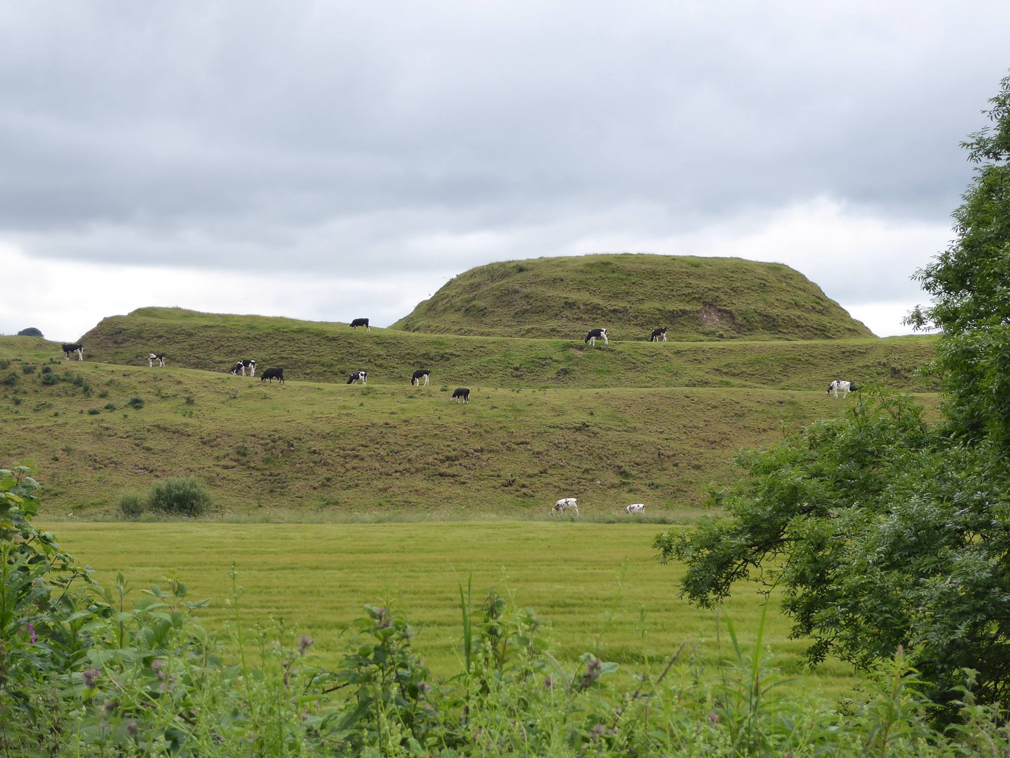 An image of Motte of Urr