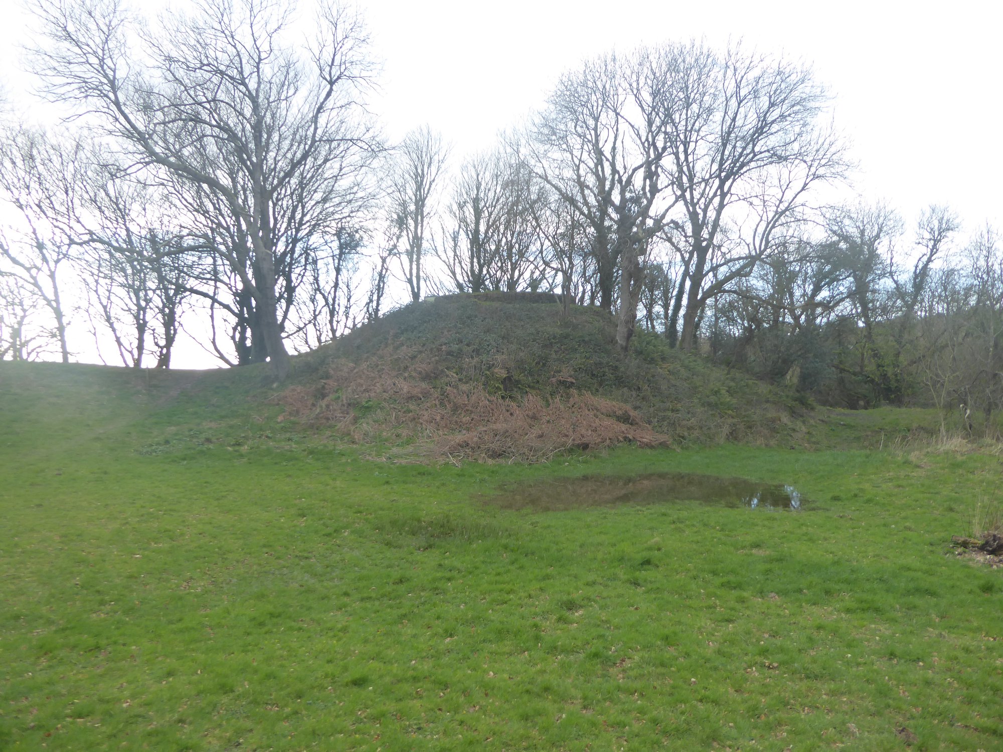 An image of Nevern Castle