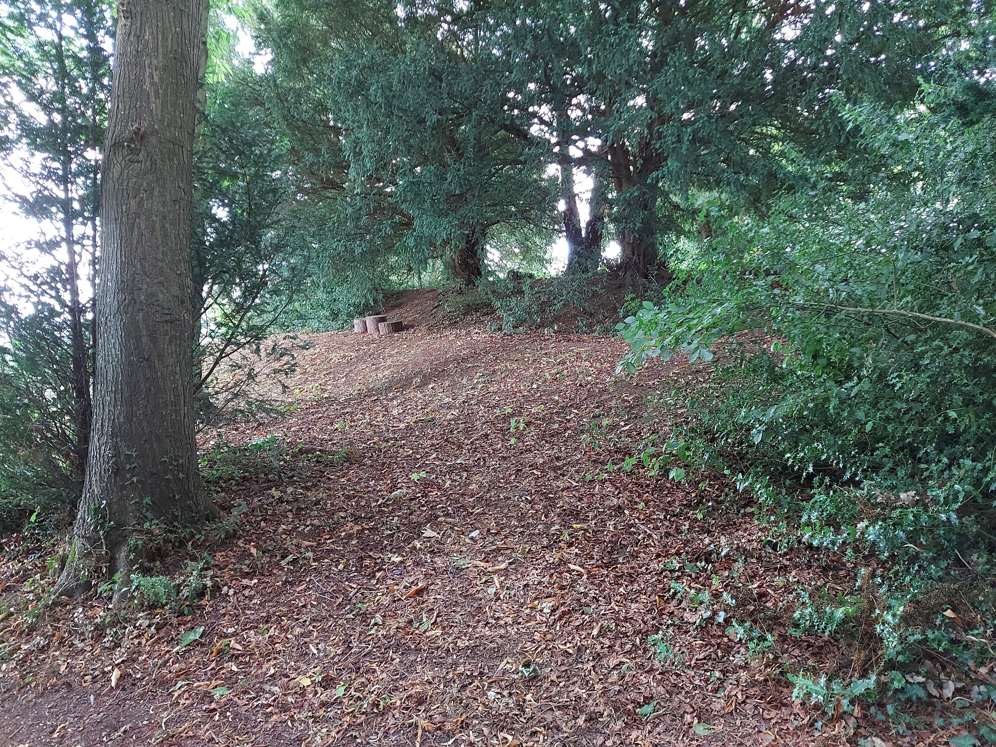 An image of Oaklands Mount