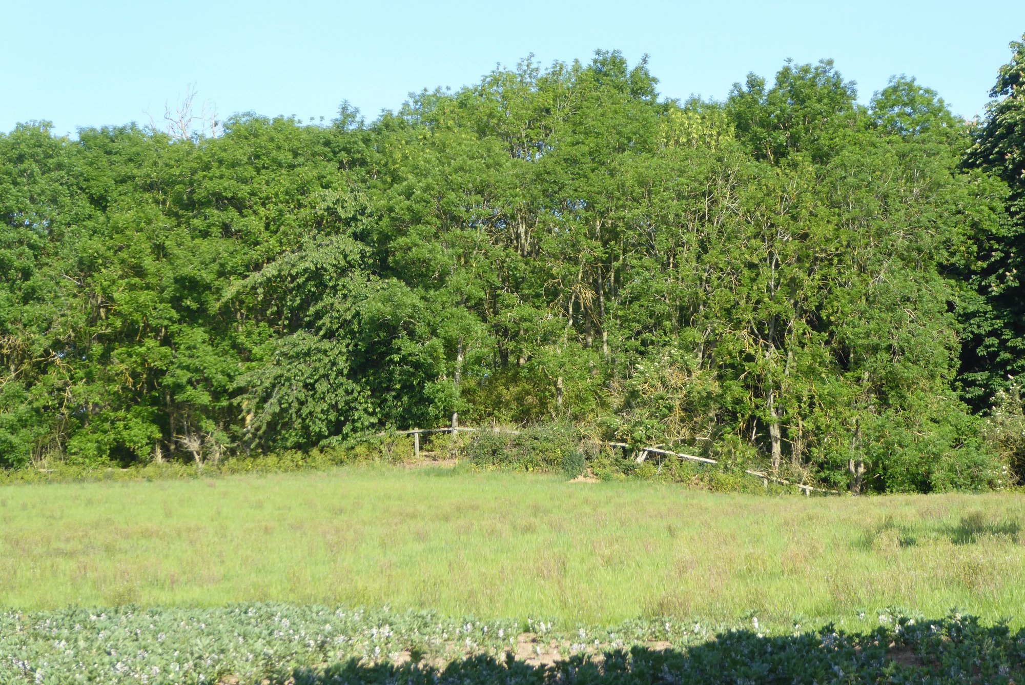 An image of Old Warden Castle