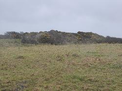 Parc-y-Castell