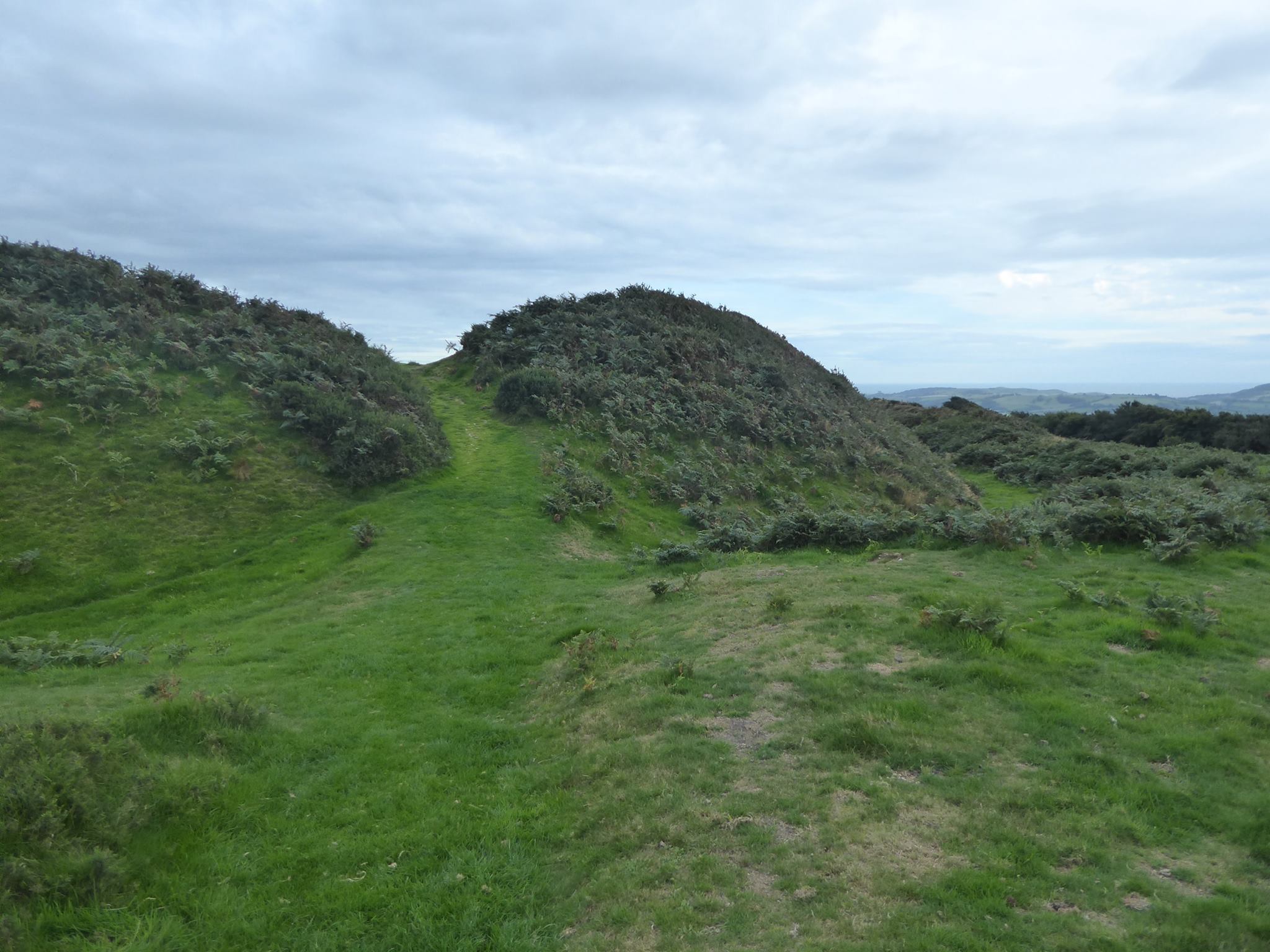 An image of Pilsdon Pen Hillfort