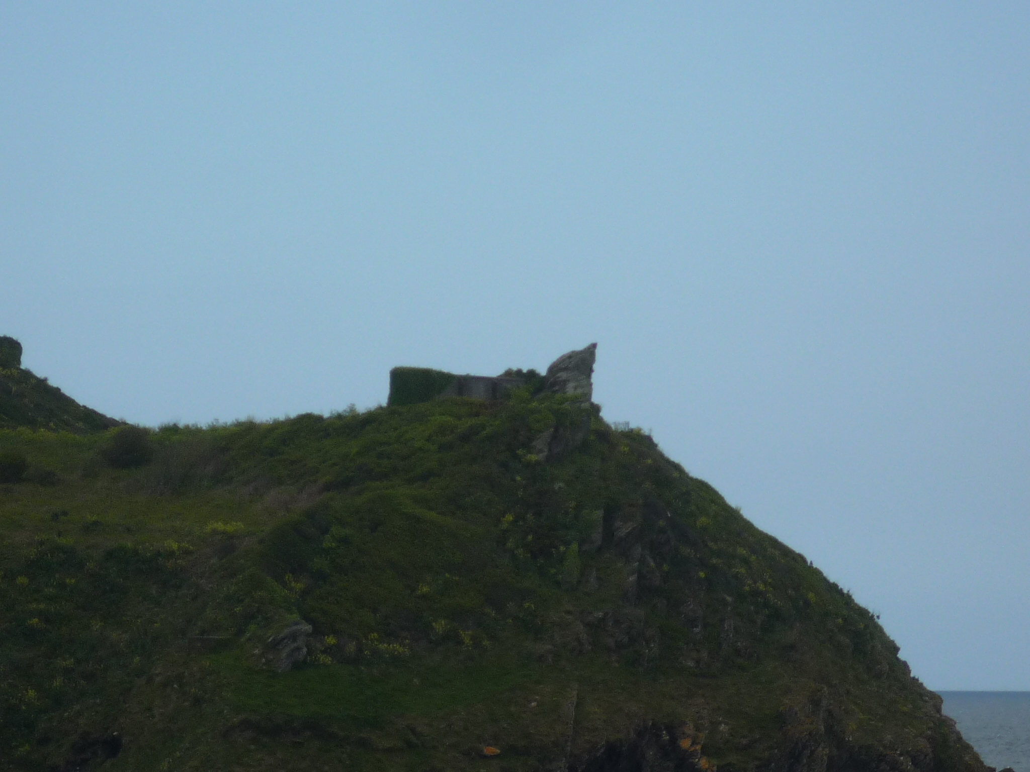An image of Polruan Castle