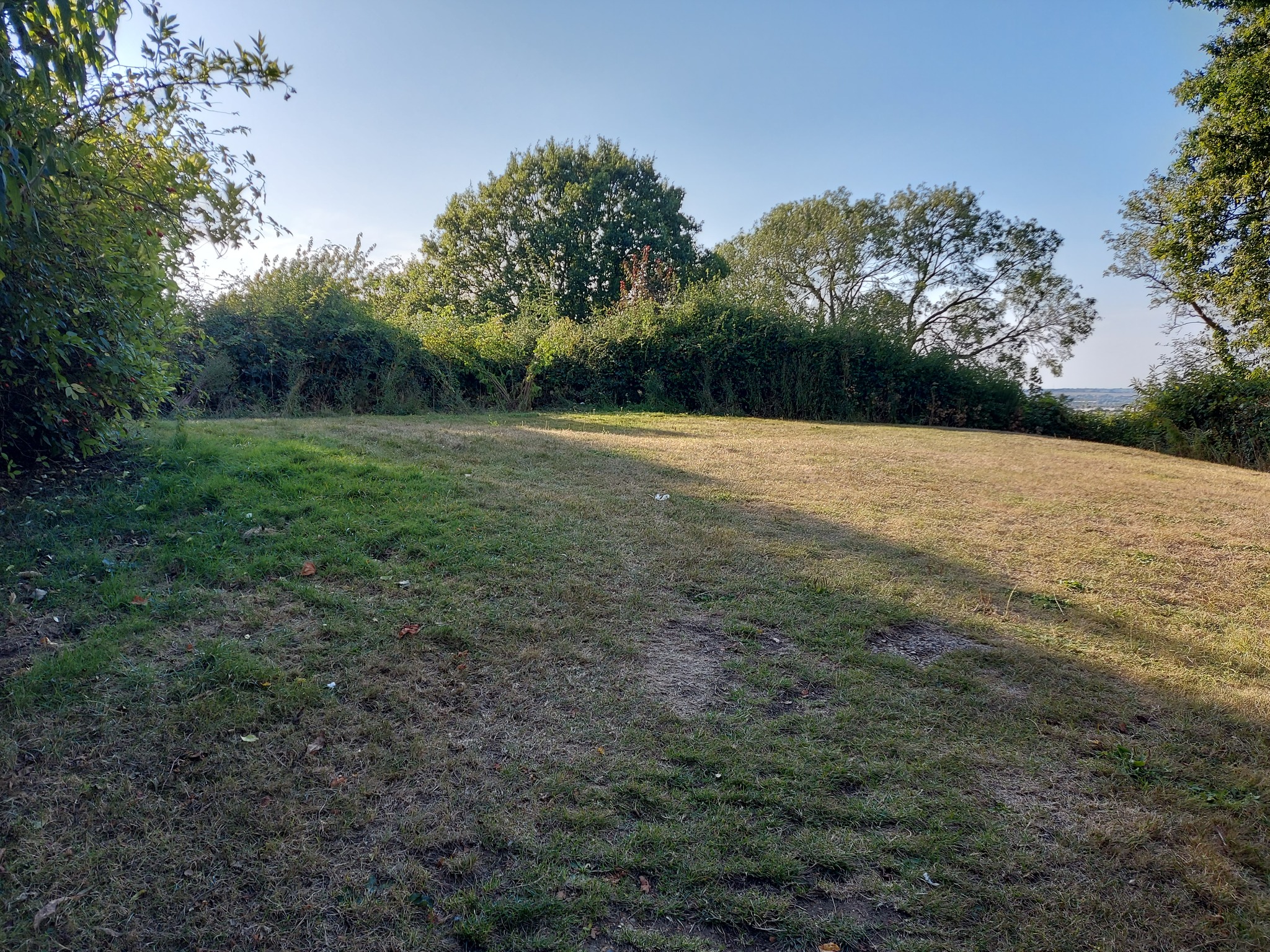 An image of Rayleigh Castle