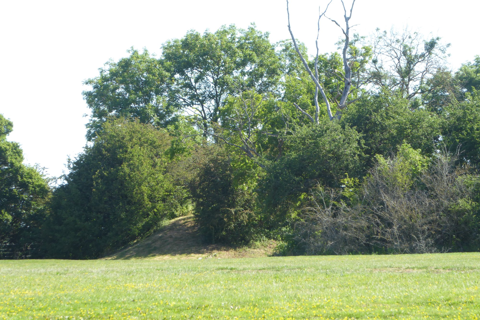 An image of Renhold Castle