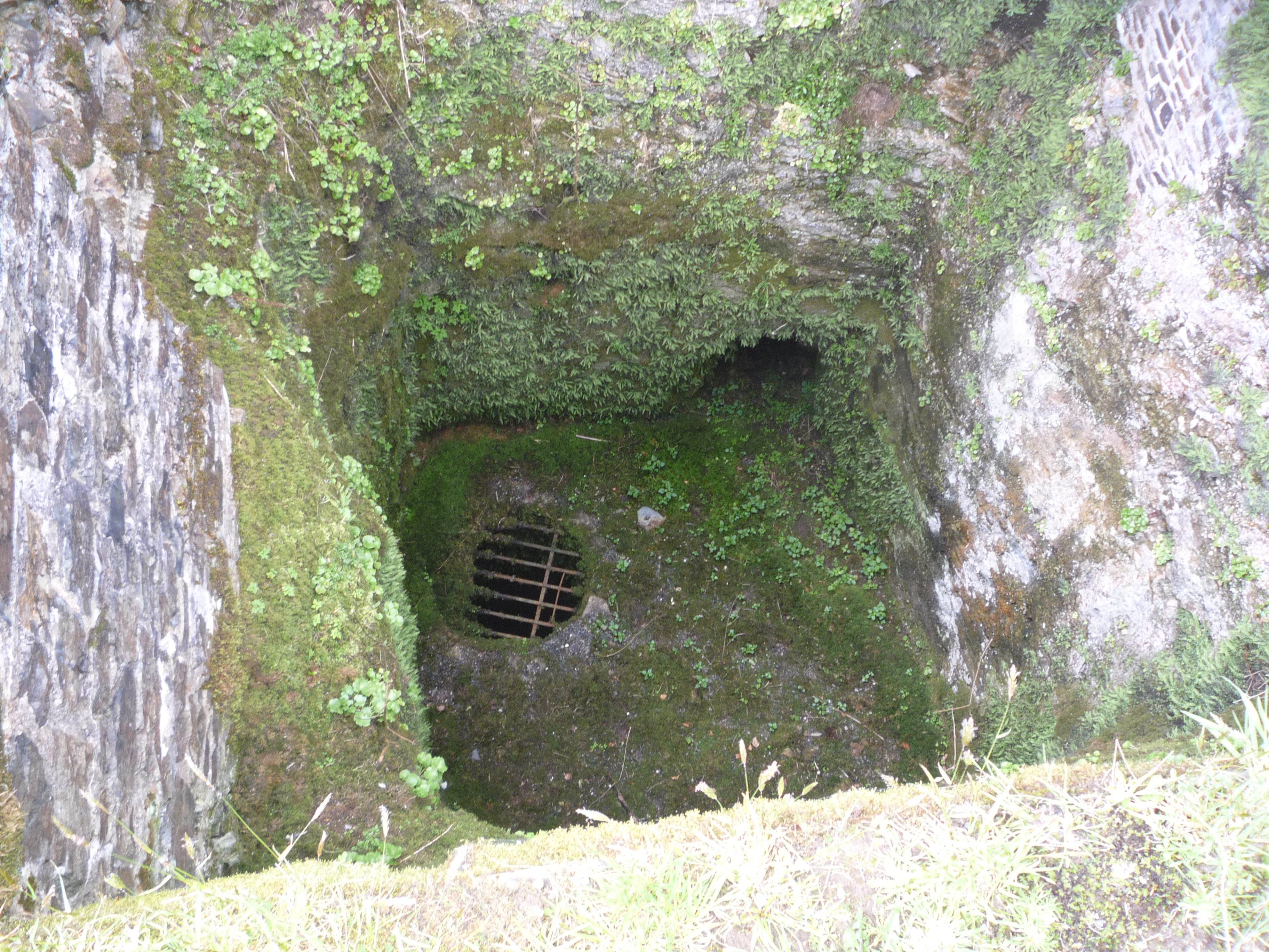 An image of Restormel Castle