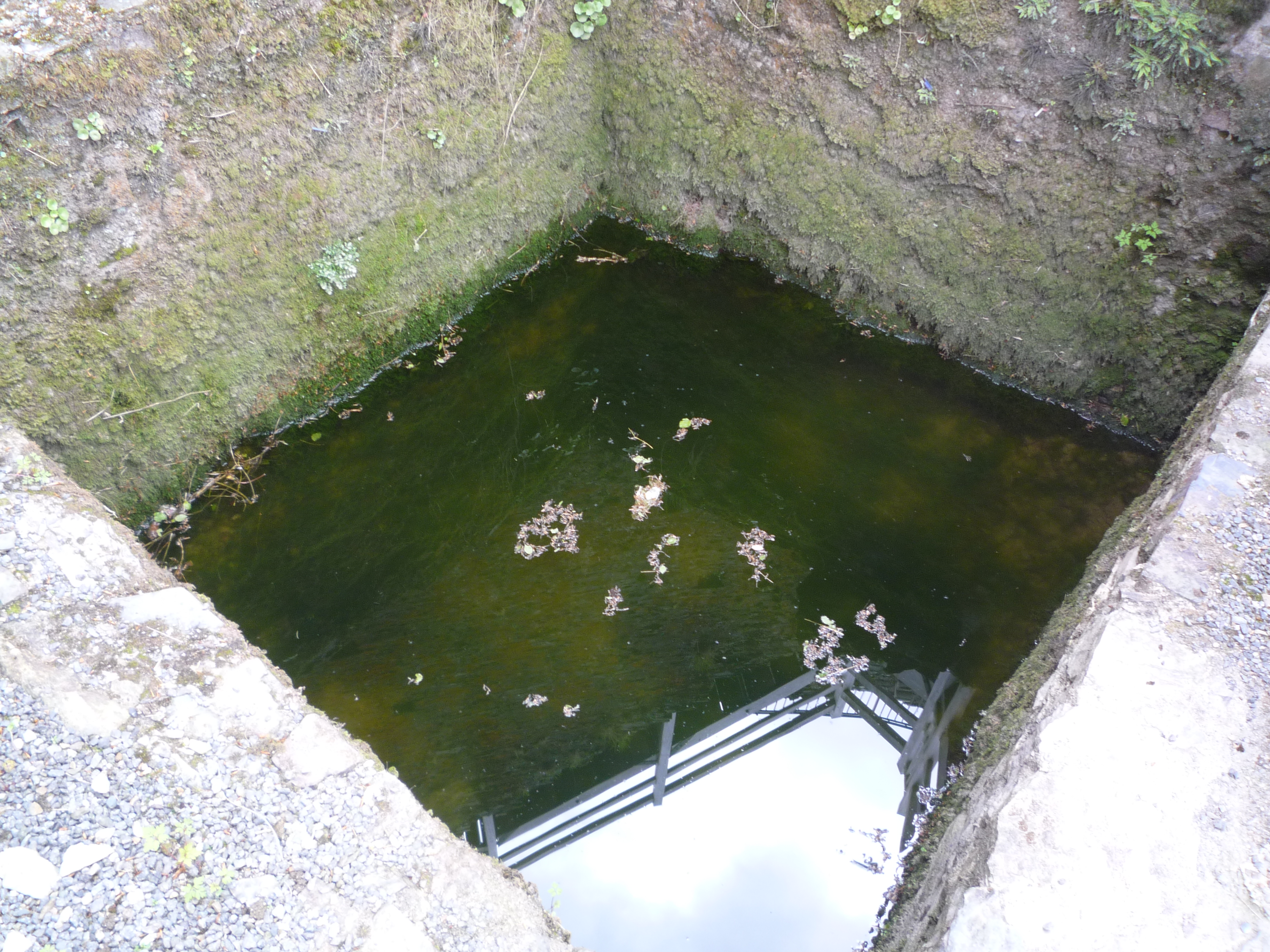 An image of Restormel Castle