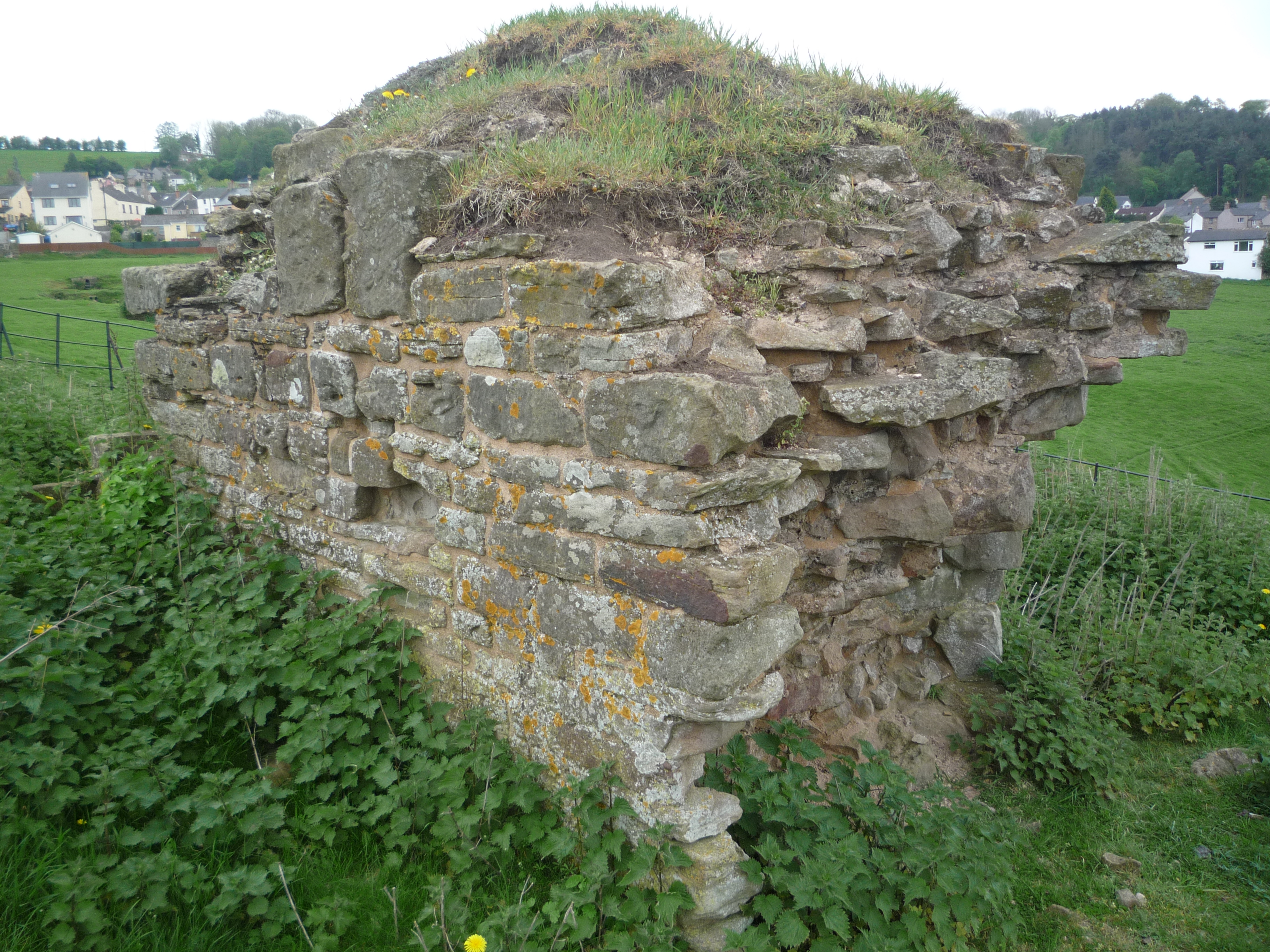 An image of Ruardyn Castle
