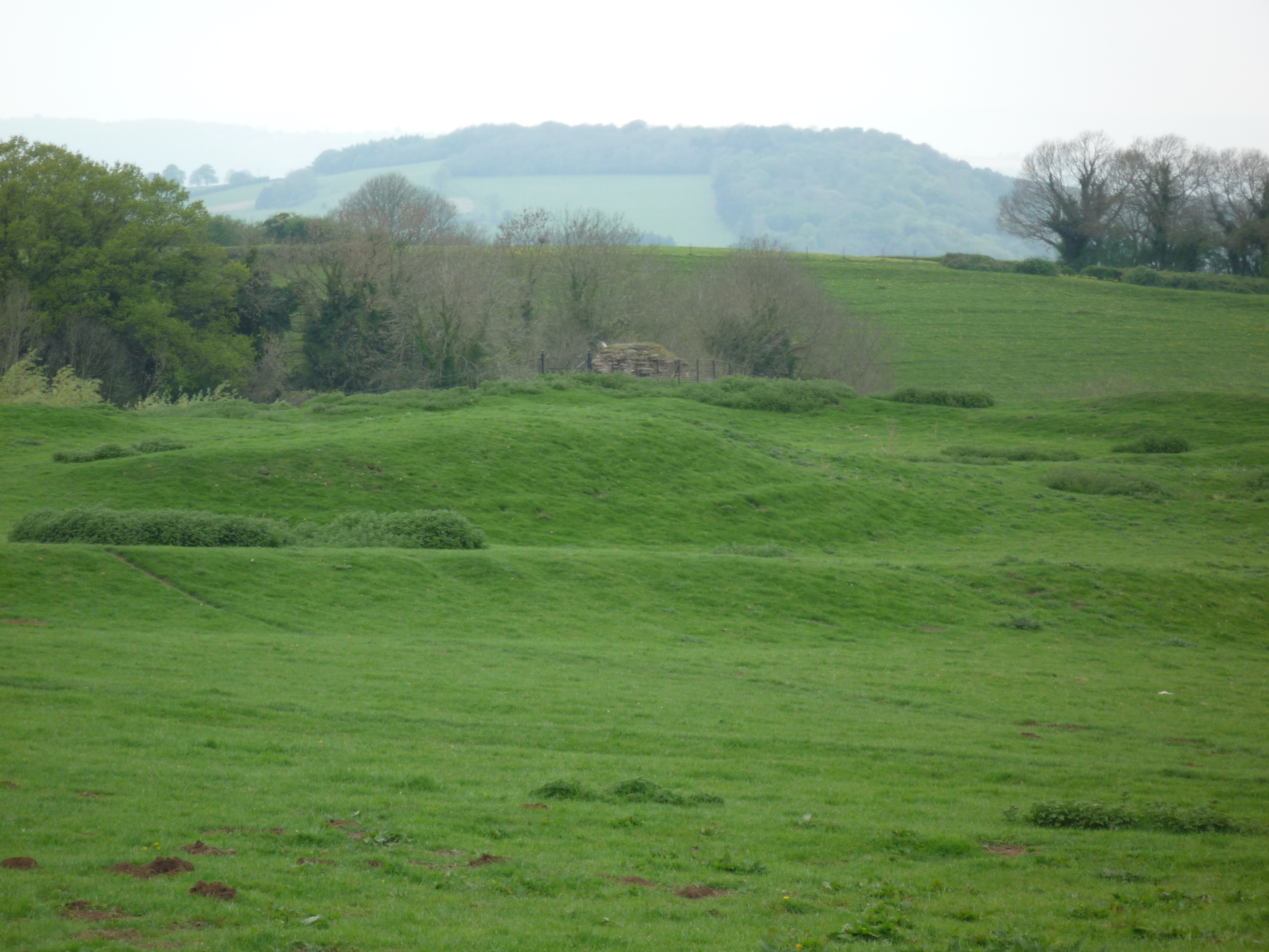 An image of Ruardyn Castle