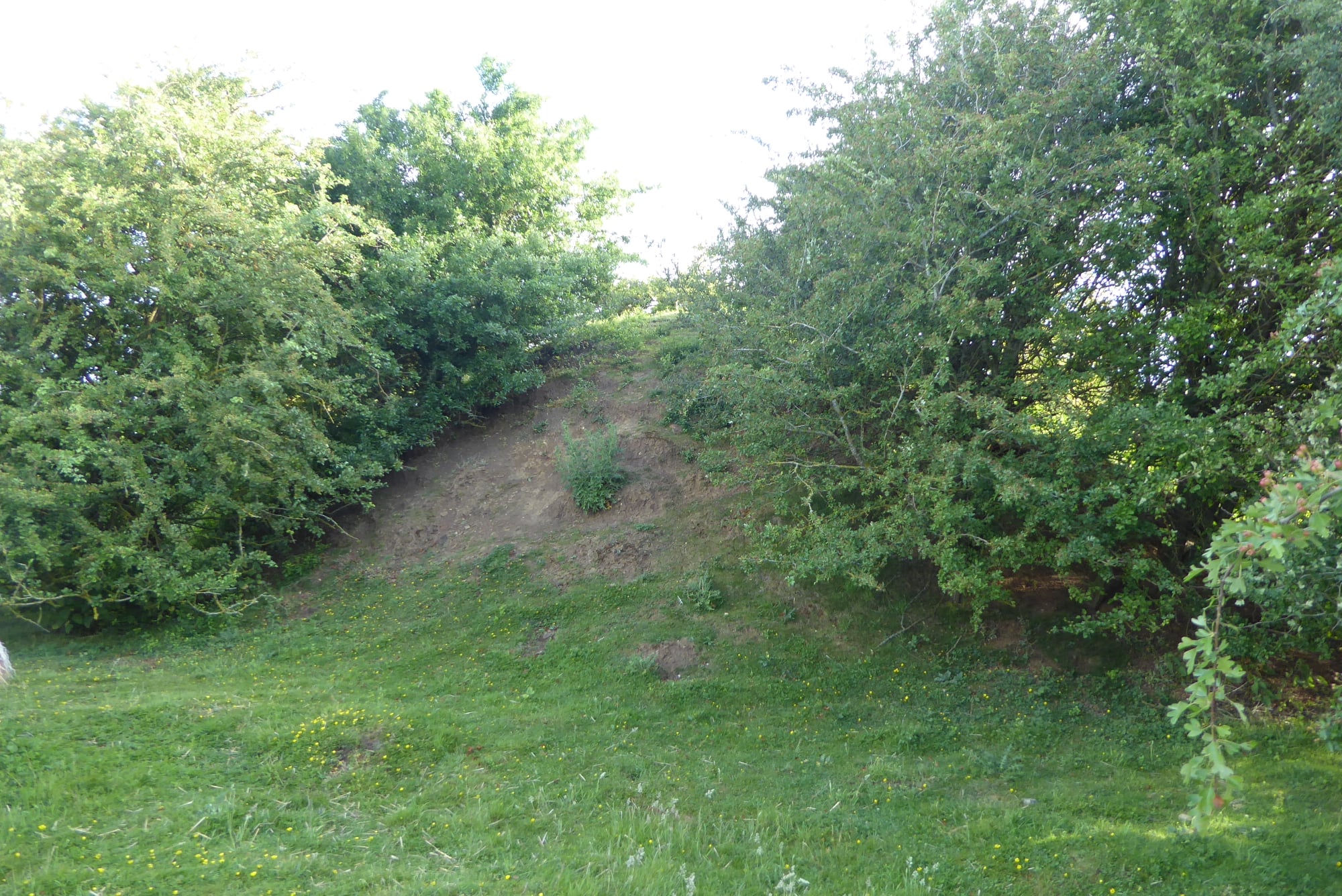 An image of Rugemont Castle