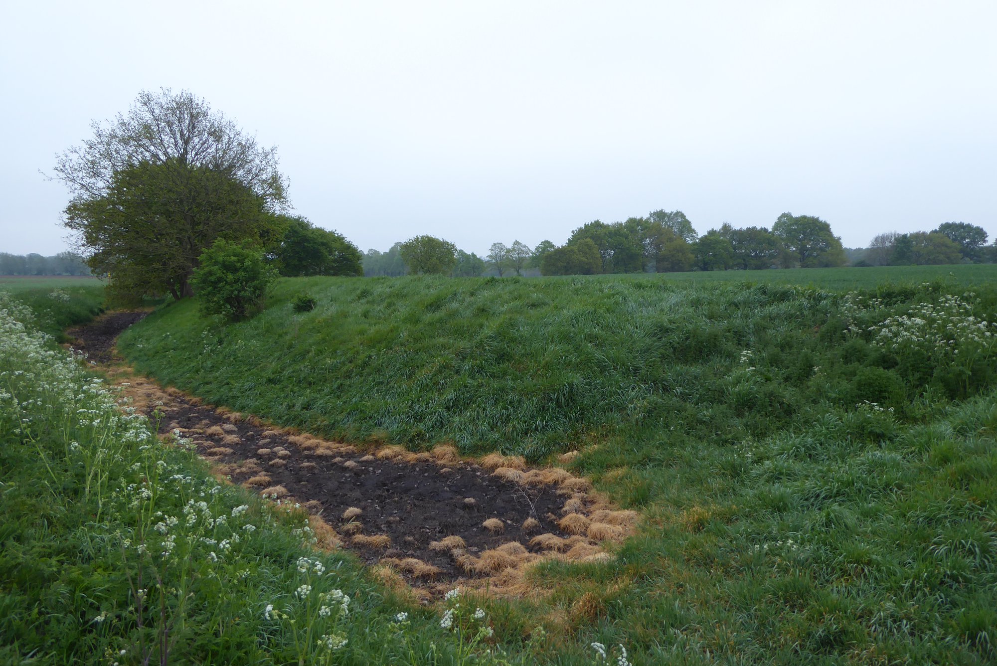 An image of Ruxox Monastic Enclosure