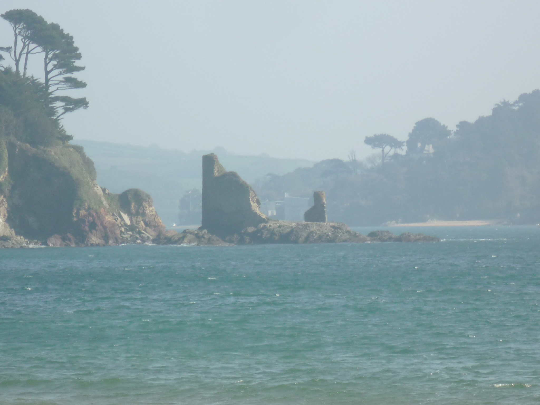 An image of Salcombe Castle