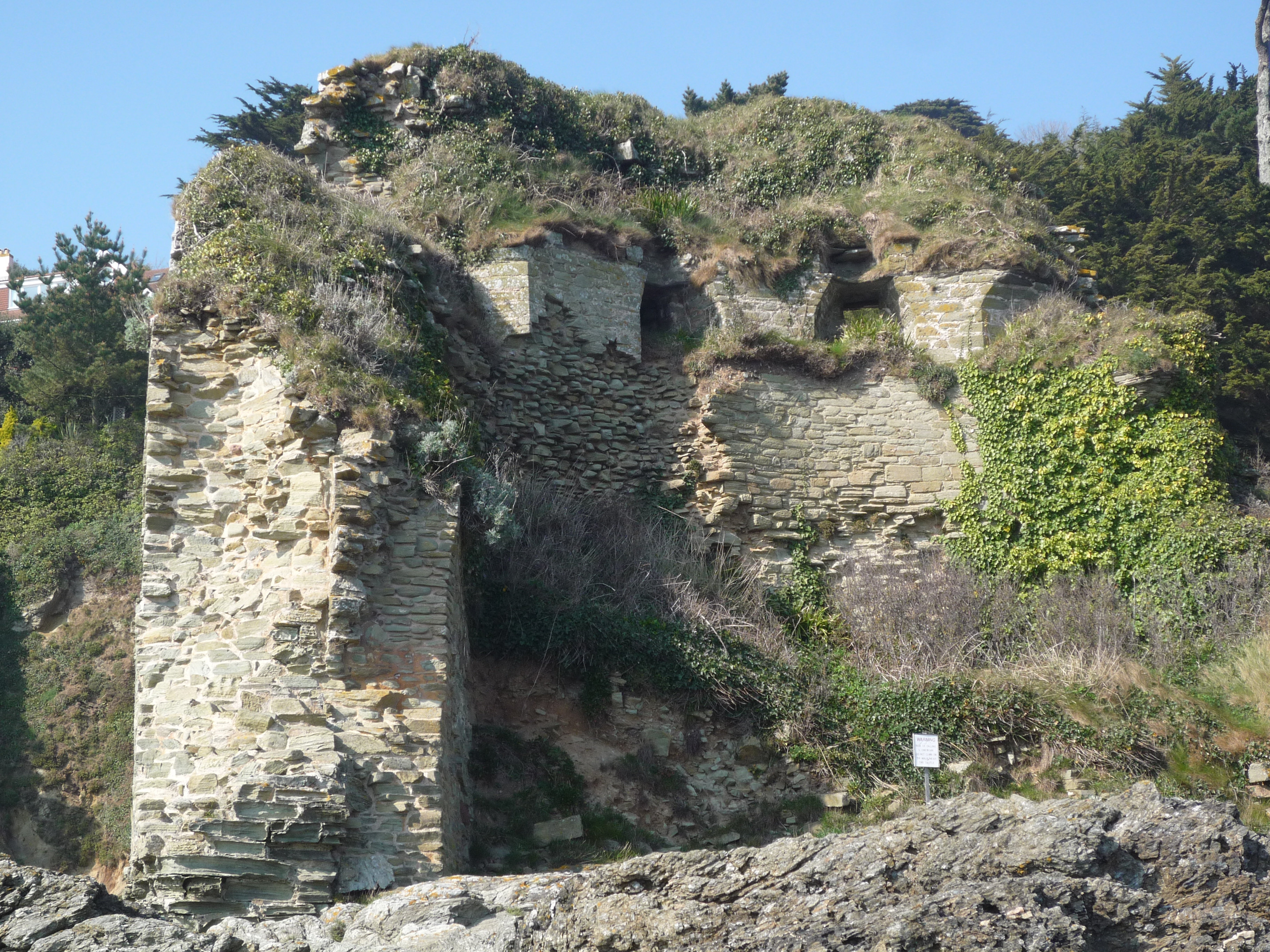 An image of Salcombe Castle