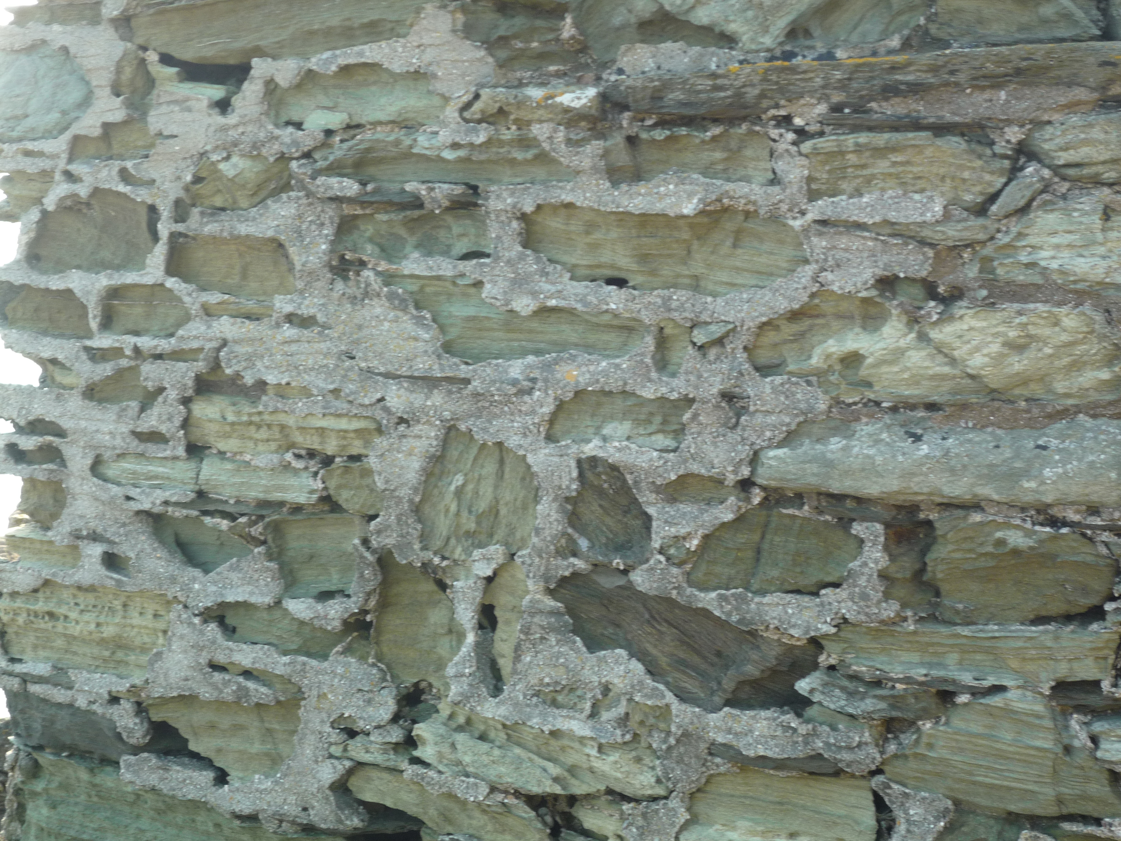 An image of Salcombe Castle