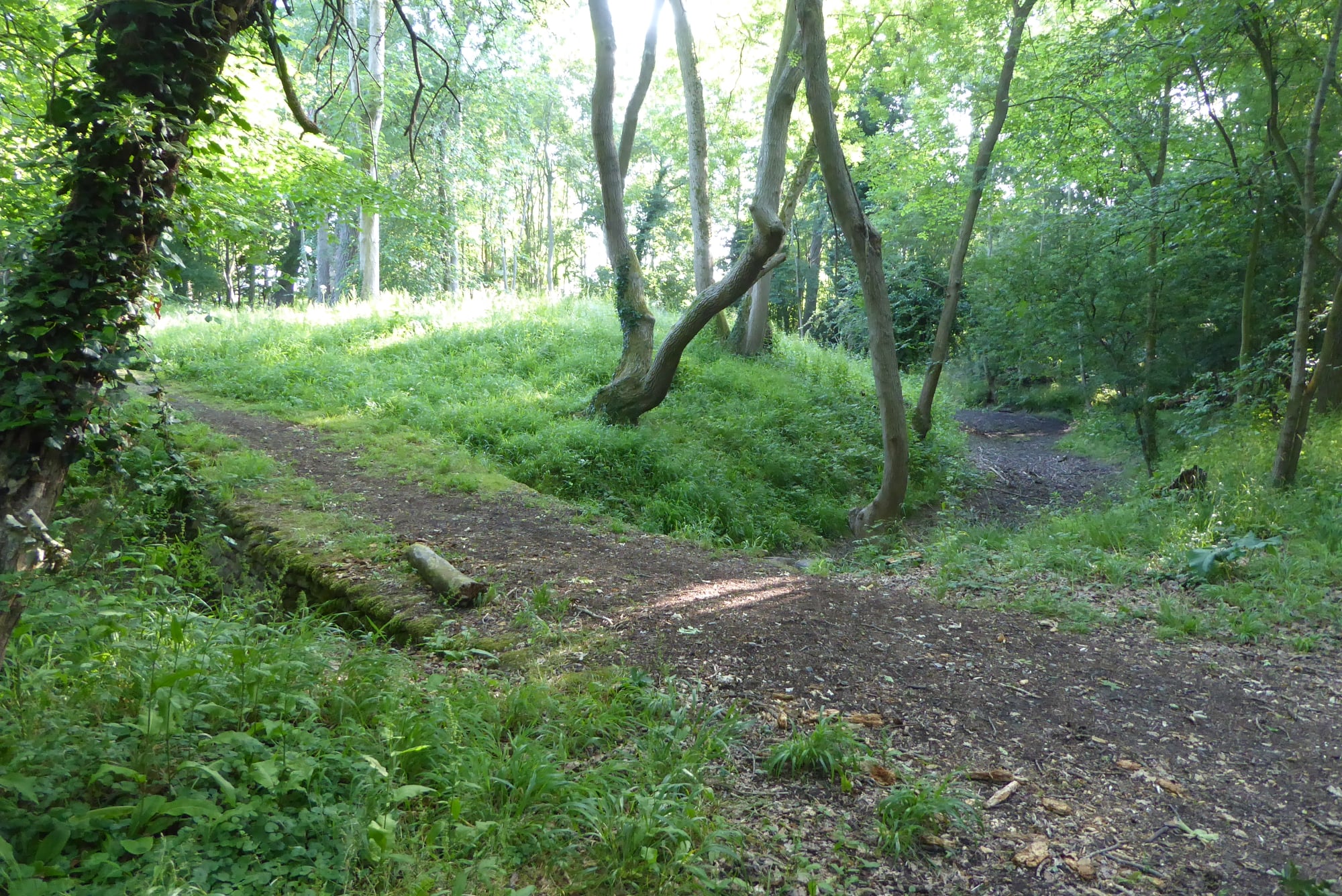 An image of Sharnbrook Castle