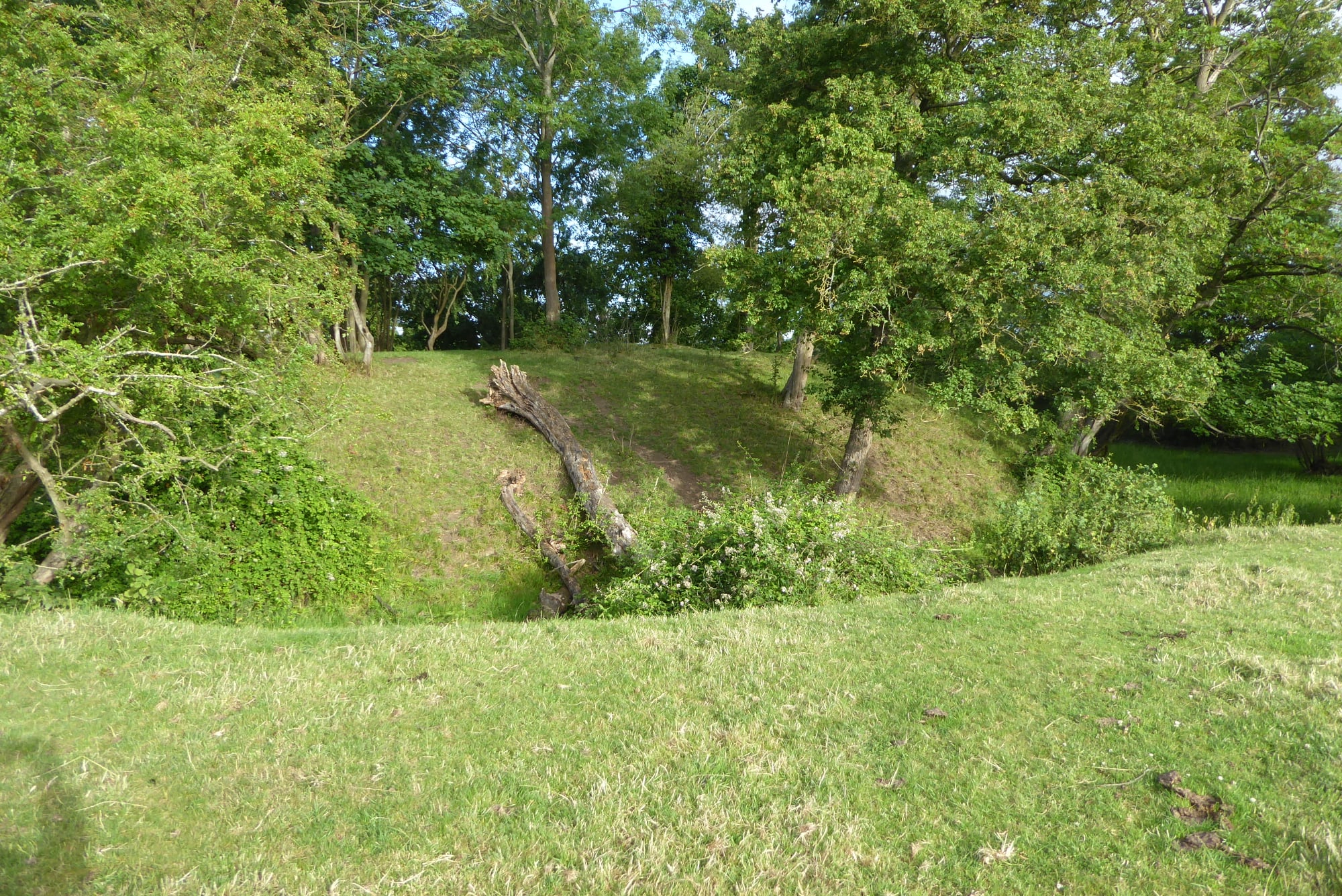 An image of Shenley Castle
