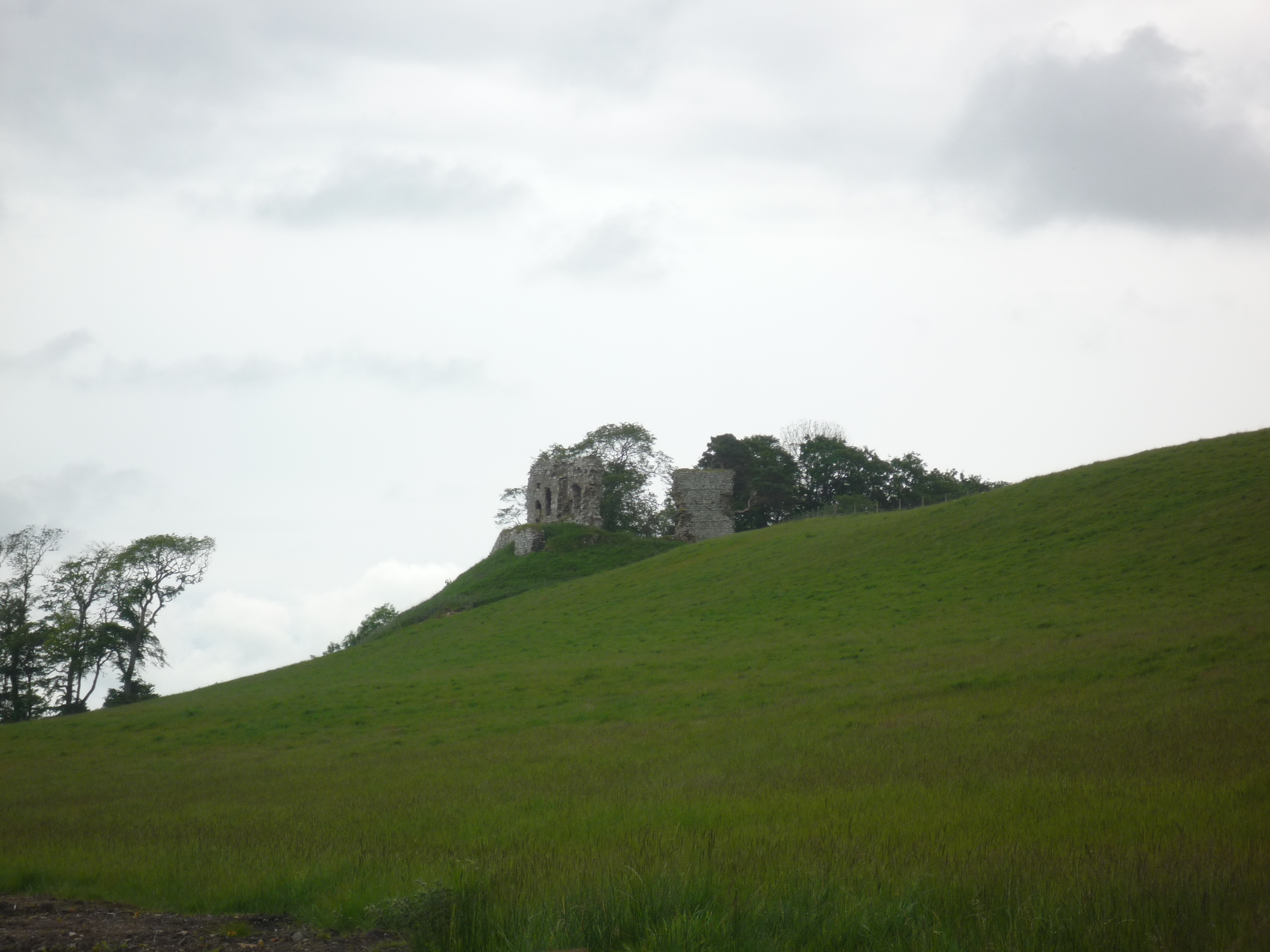 An image of Skelbo Castle