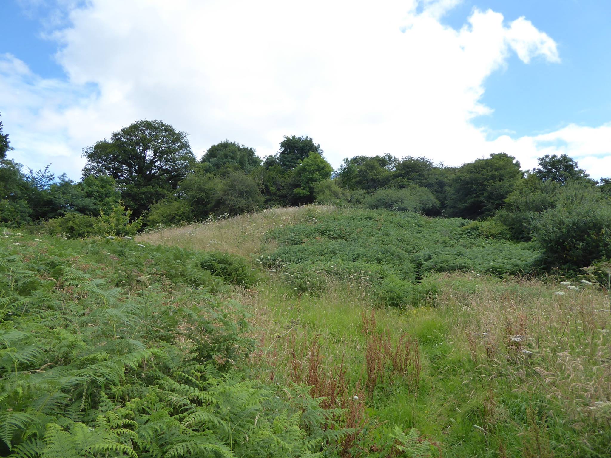 An image of Snodhill Castle
